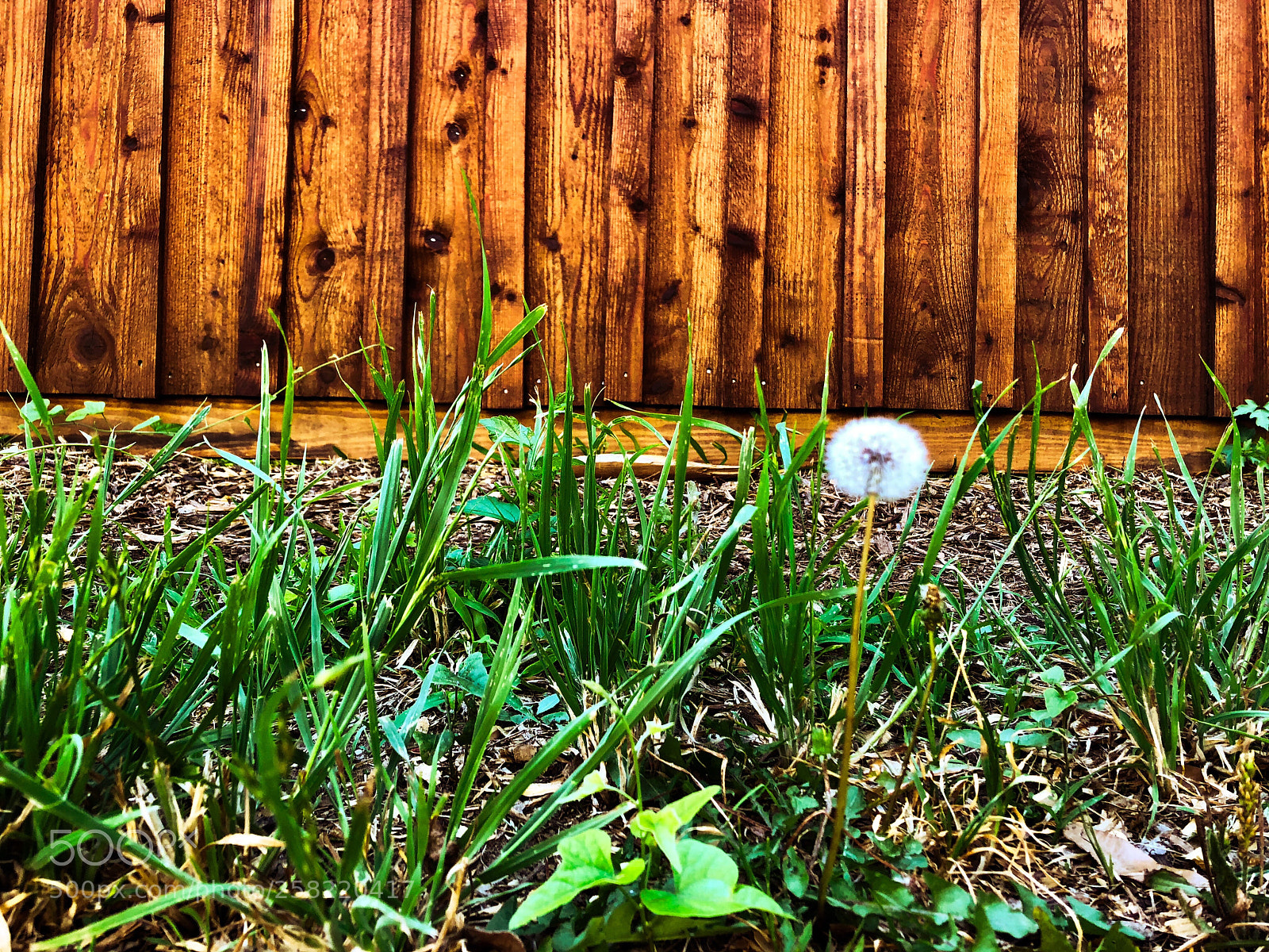 Apple iPhone X sample photo. In the alley photography