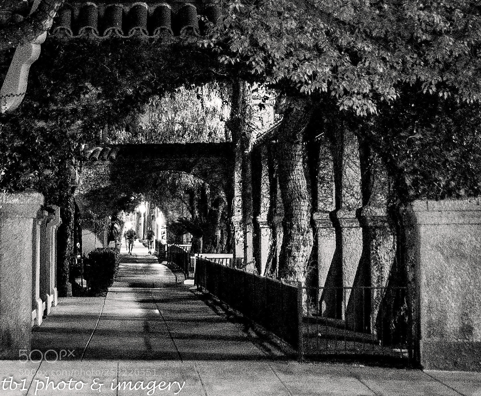 Sony SLT-A99V sample photo. "walkway to the inn" photography