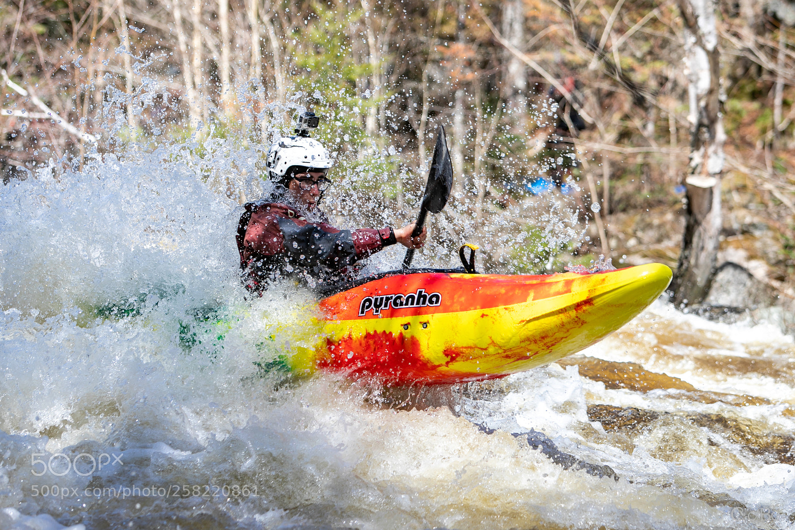 Canon EOS 6D Mark II sample photo. Neilson river race photography