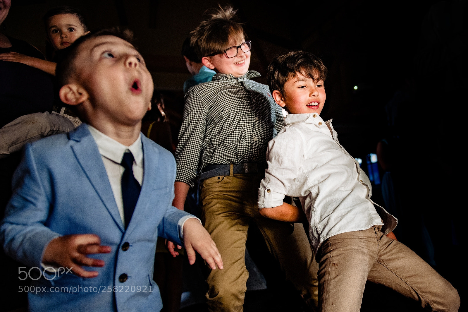 Nikon D850 sample photo. Untitled photography