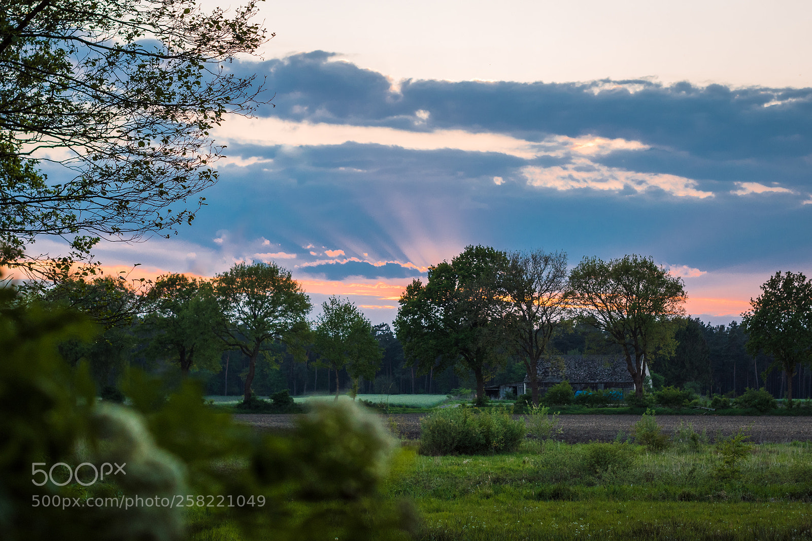 Nikon D5300 sample photo. Sunset in landscape photography
