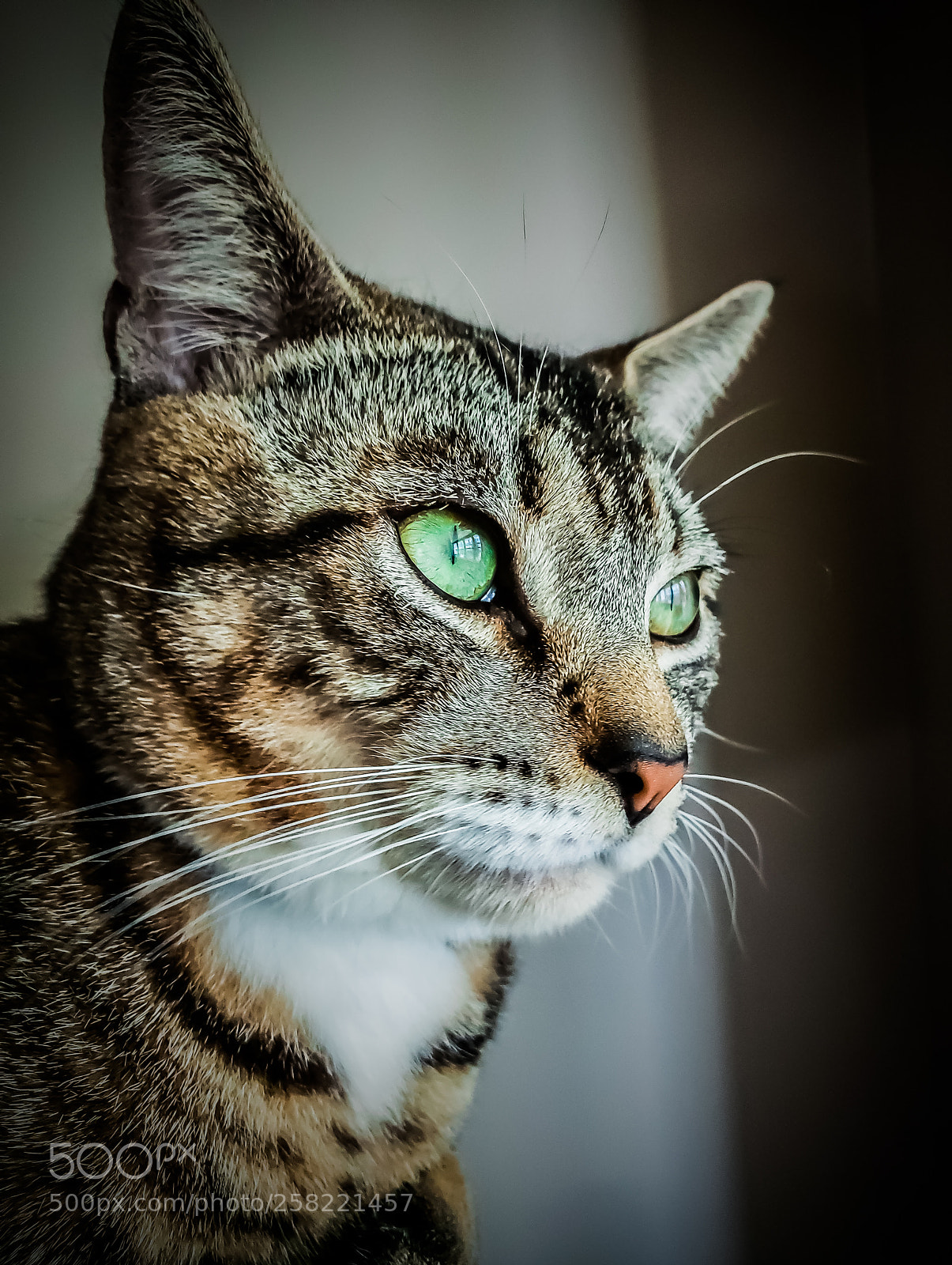 Samsung Galaxy S9+ sample photo. Untitled photography