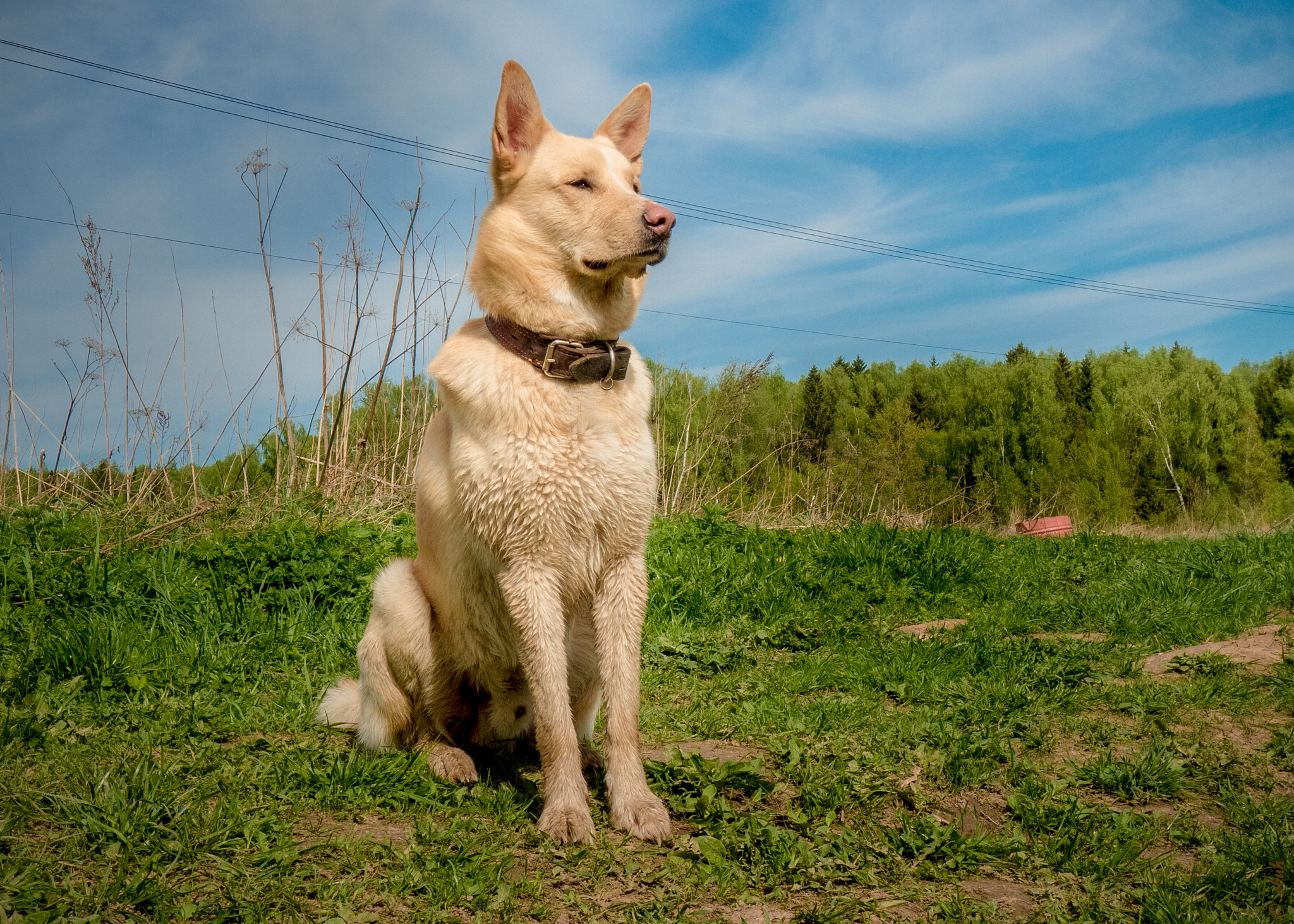 Leica D-LUX 5 sample photo. L photography