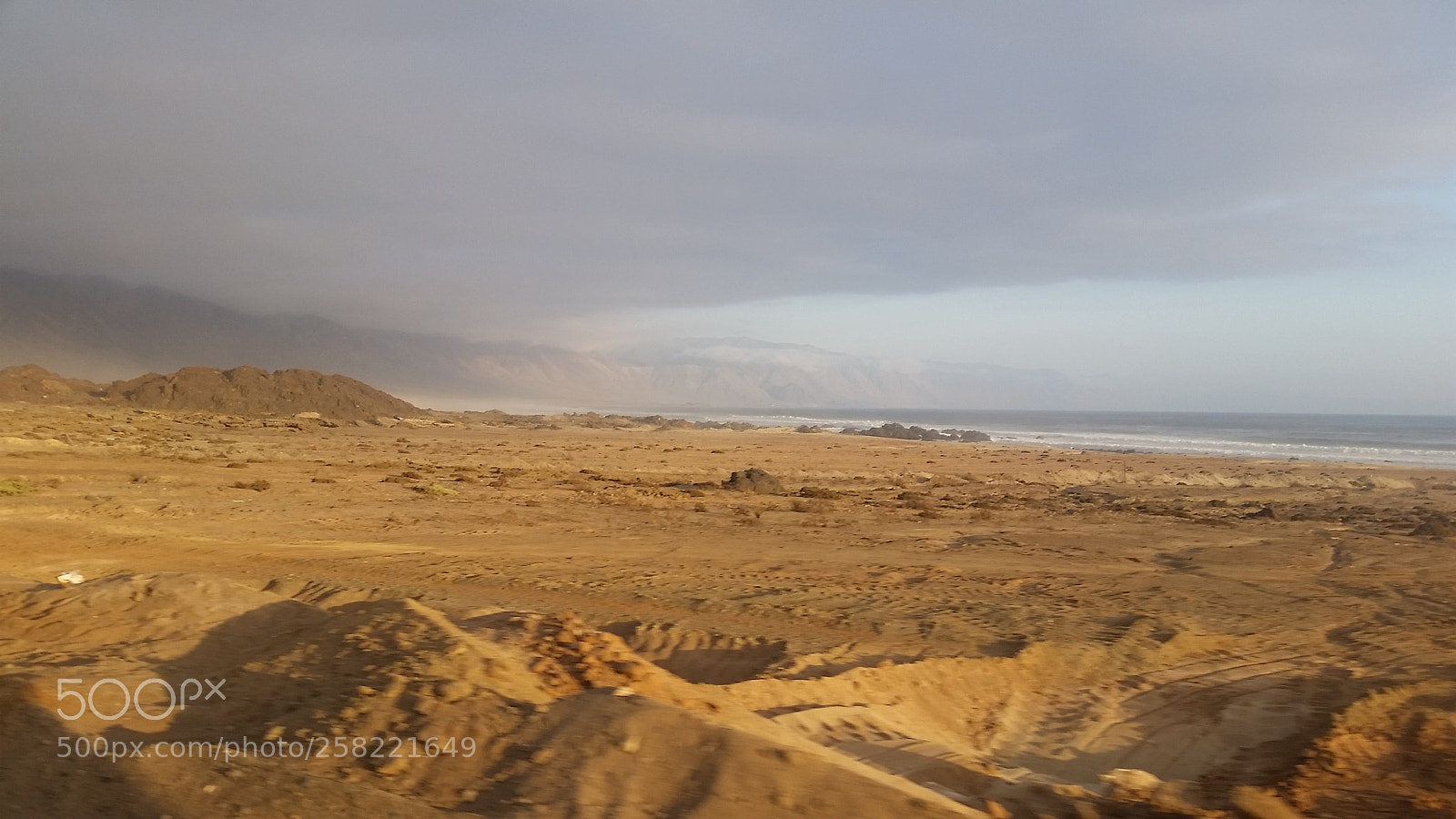 Samsung Galaxy S5 sample photo. Untitled photography