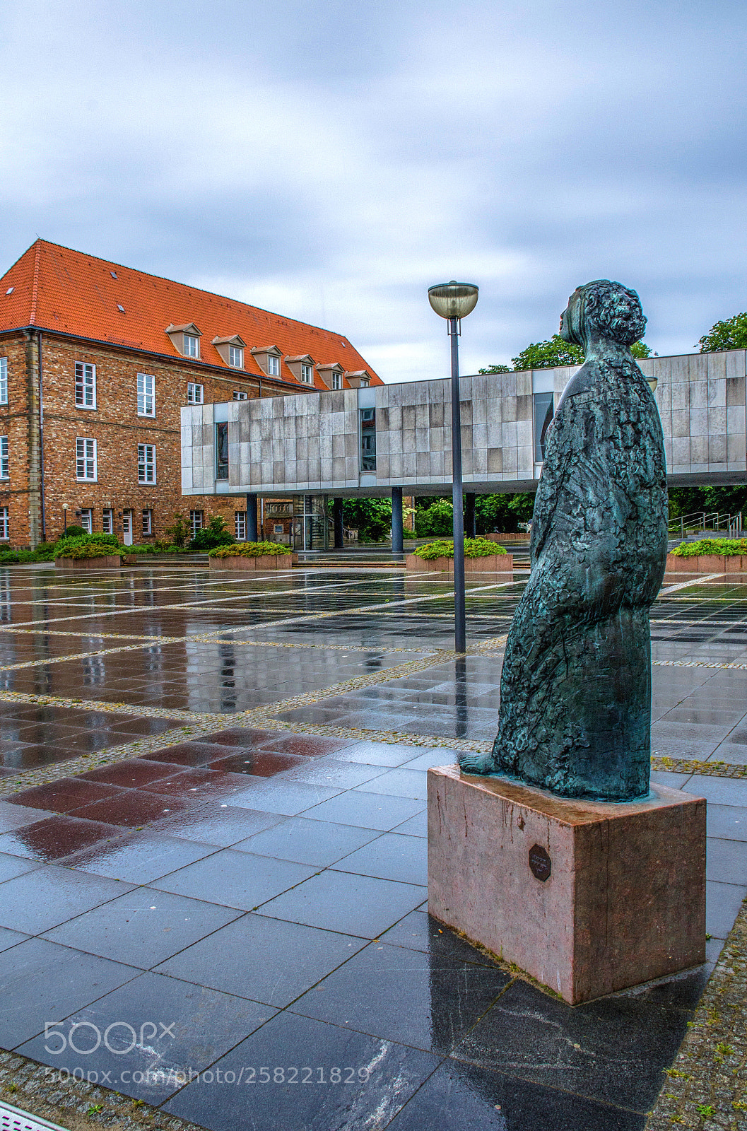 Nikon D7000 sample photo. Reflection in rain photography