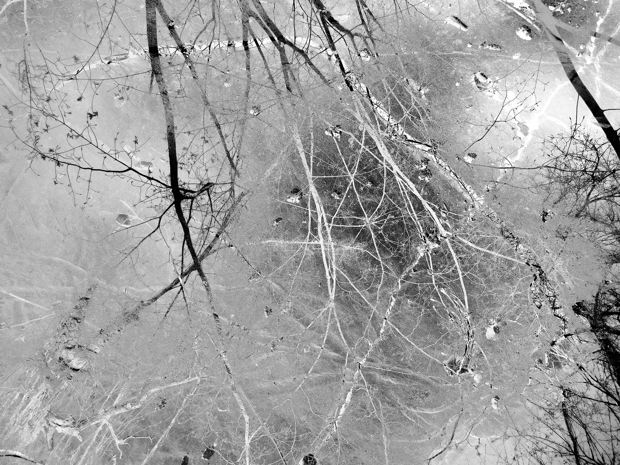 Nikon Coolpix S7000 sample photo. Texturized 44 photography