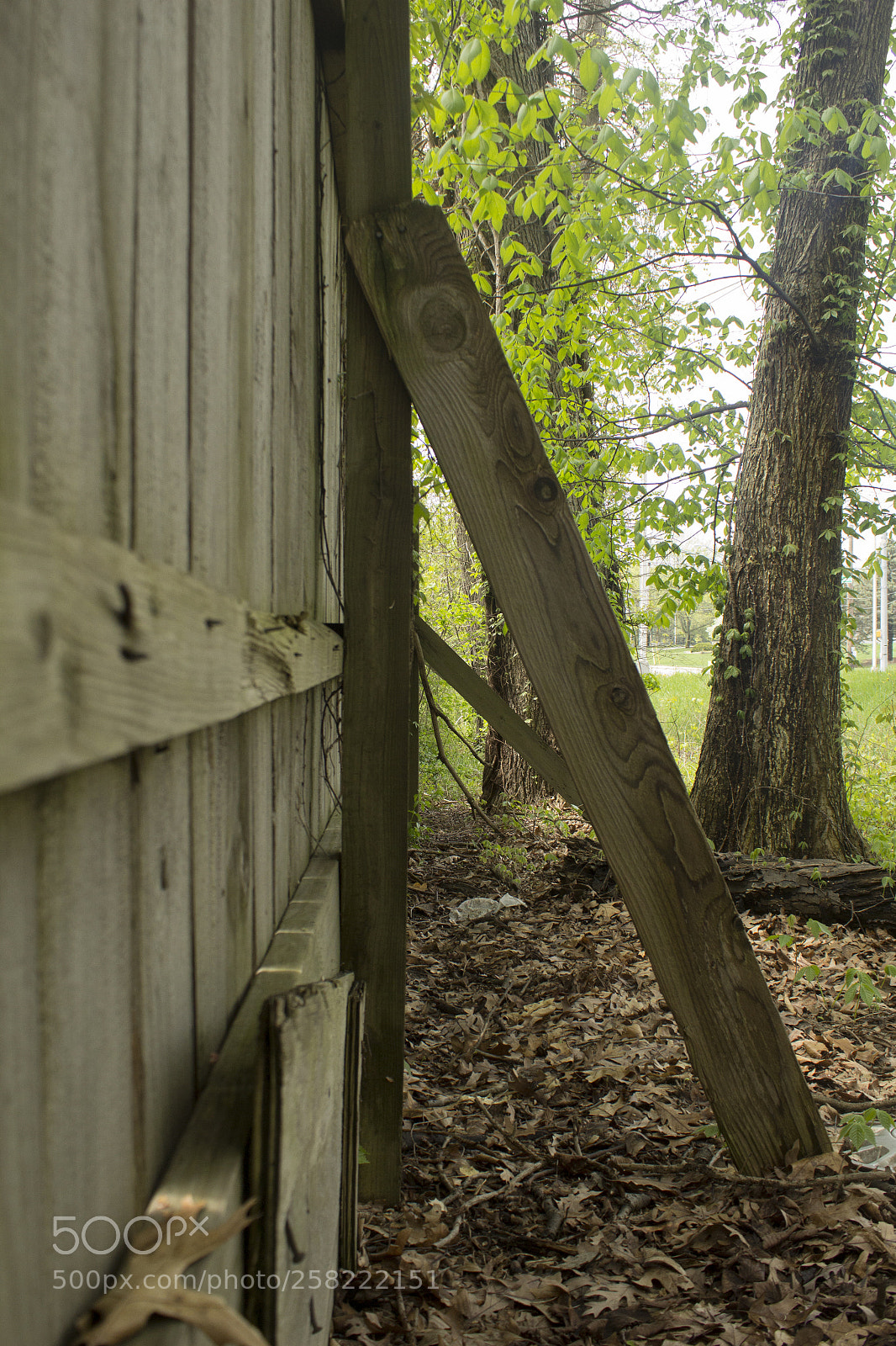 Canon EOS 1200D (EOS Rebel T5 / EOS Kiss X70 / EOS Hi) sample photo. Wooden diagonal lines in photography