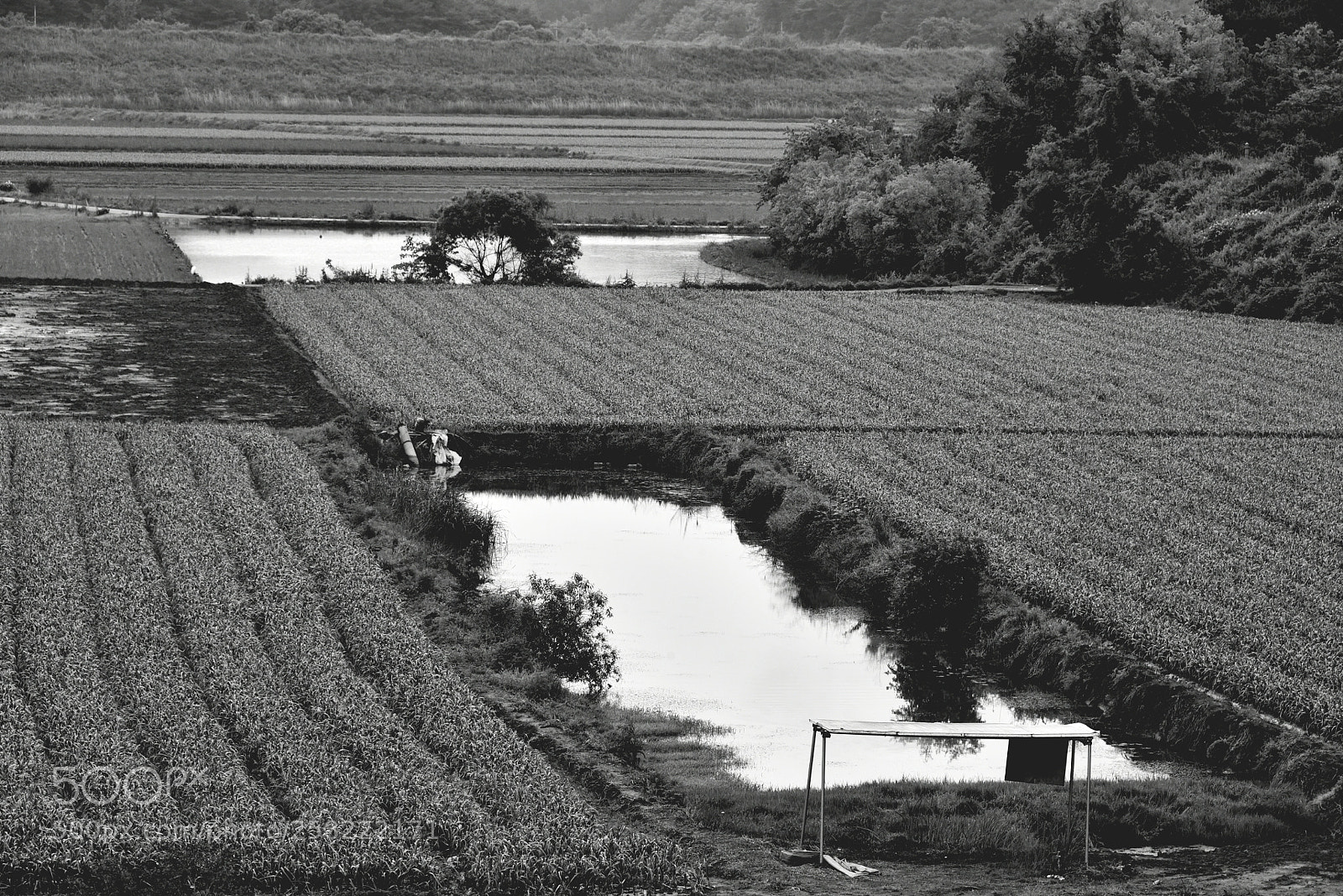 Nikon D750 sample photo. Plot photography