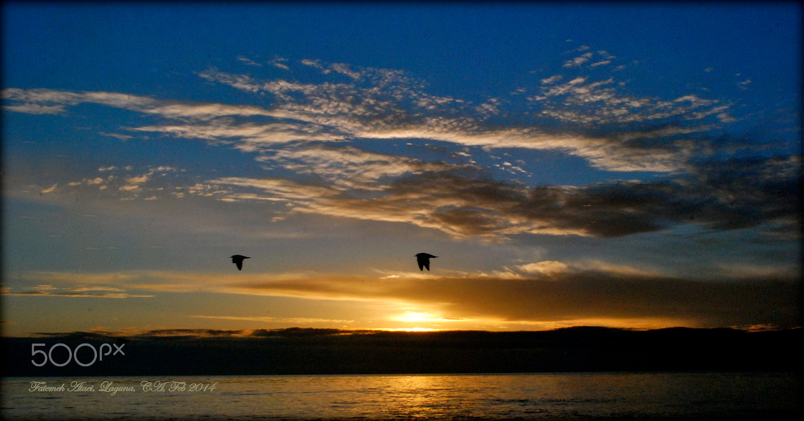 Nikon D80 sample photo. Favorite sunset photography