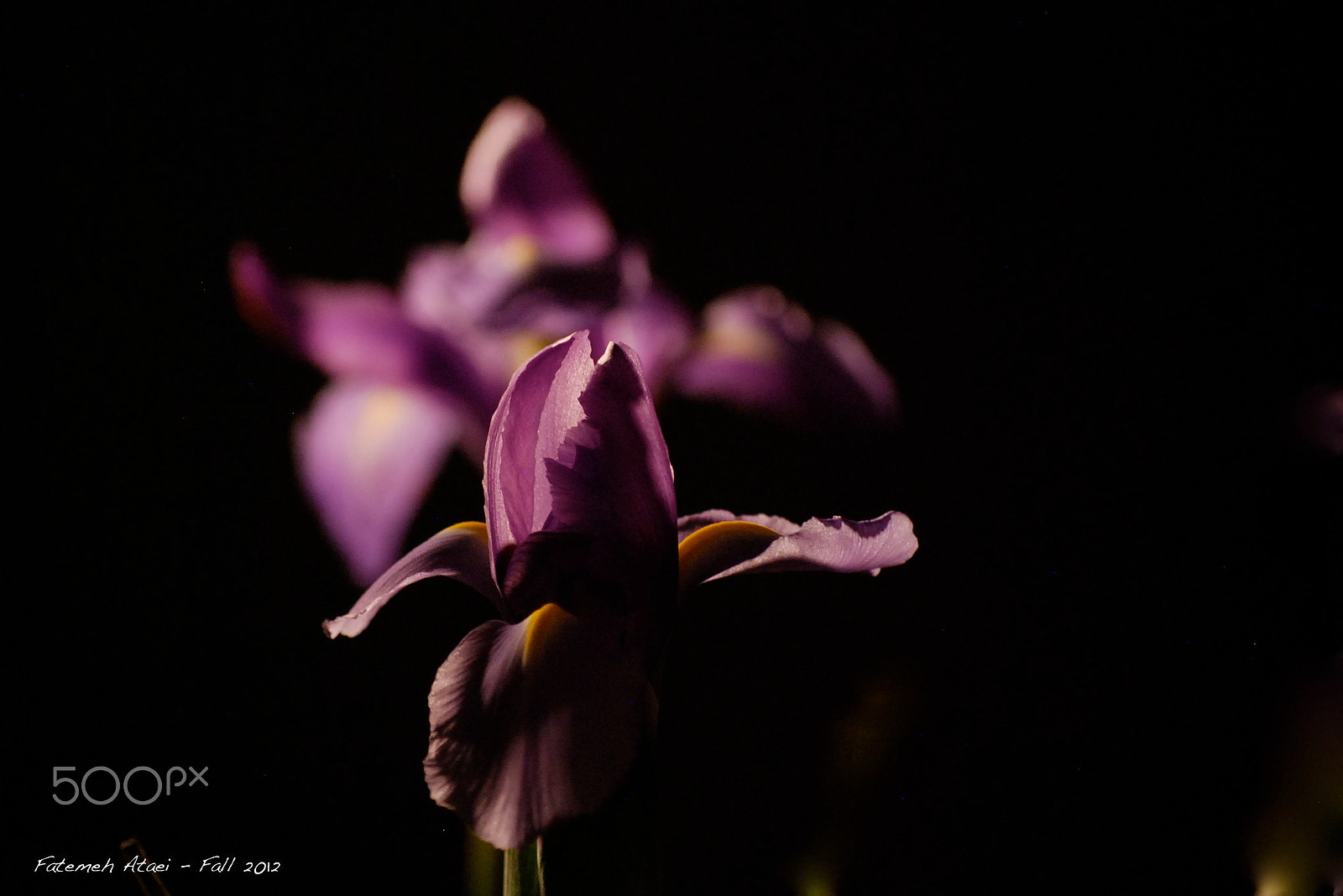 Nikon D80 sample photo. Serenity photography