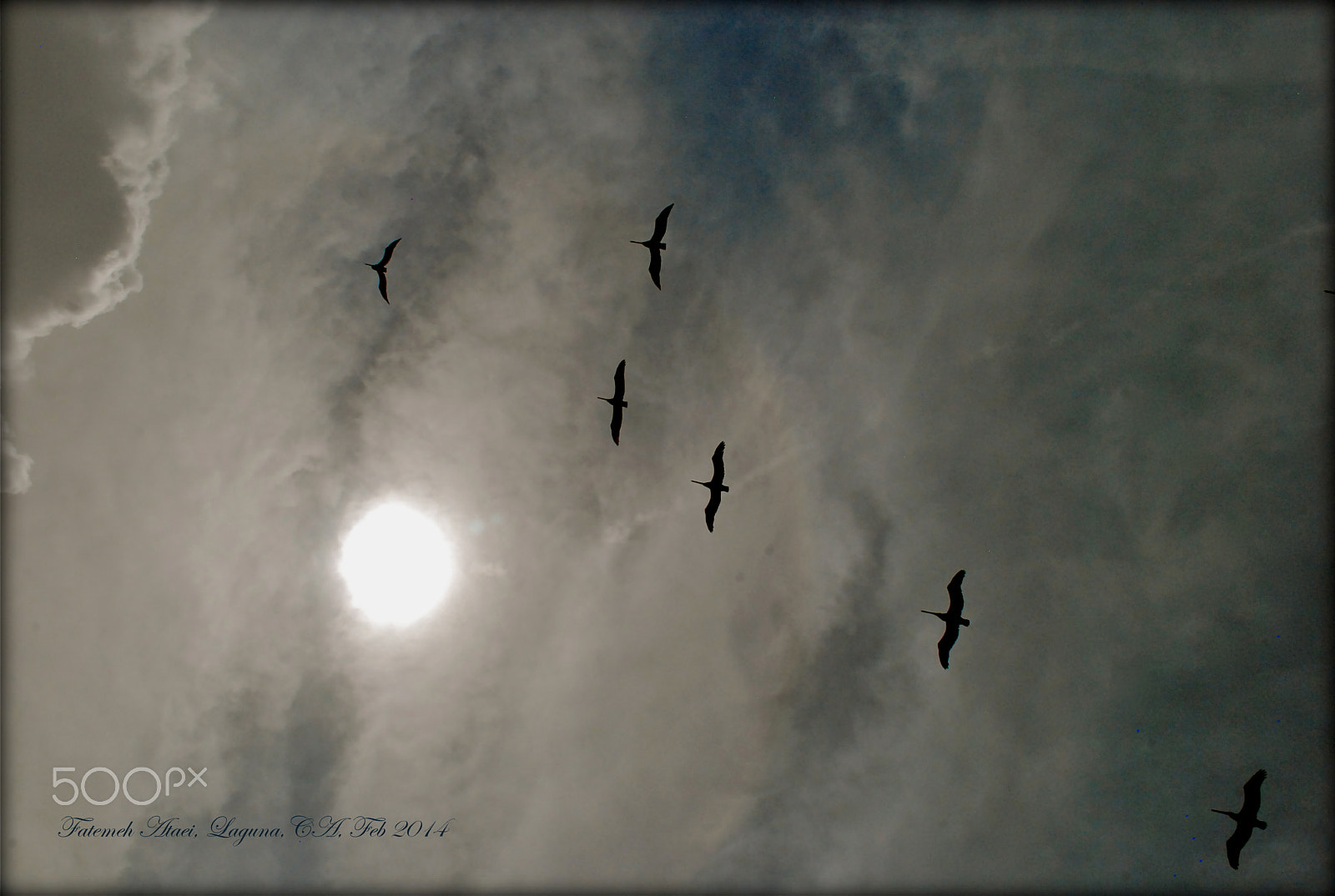 Nikon D80 sample photo. Freedom photography