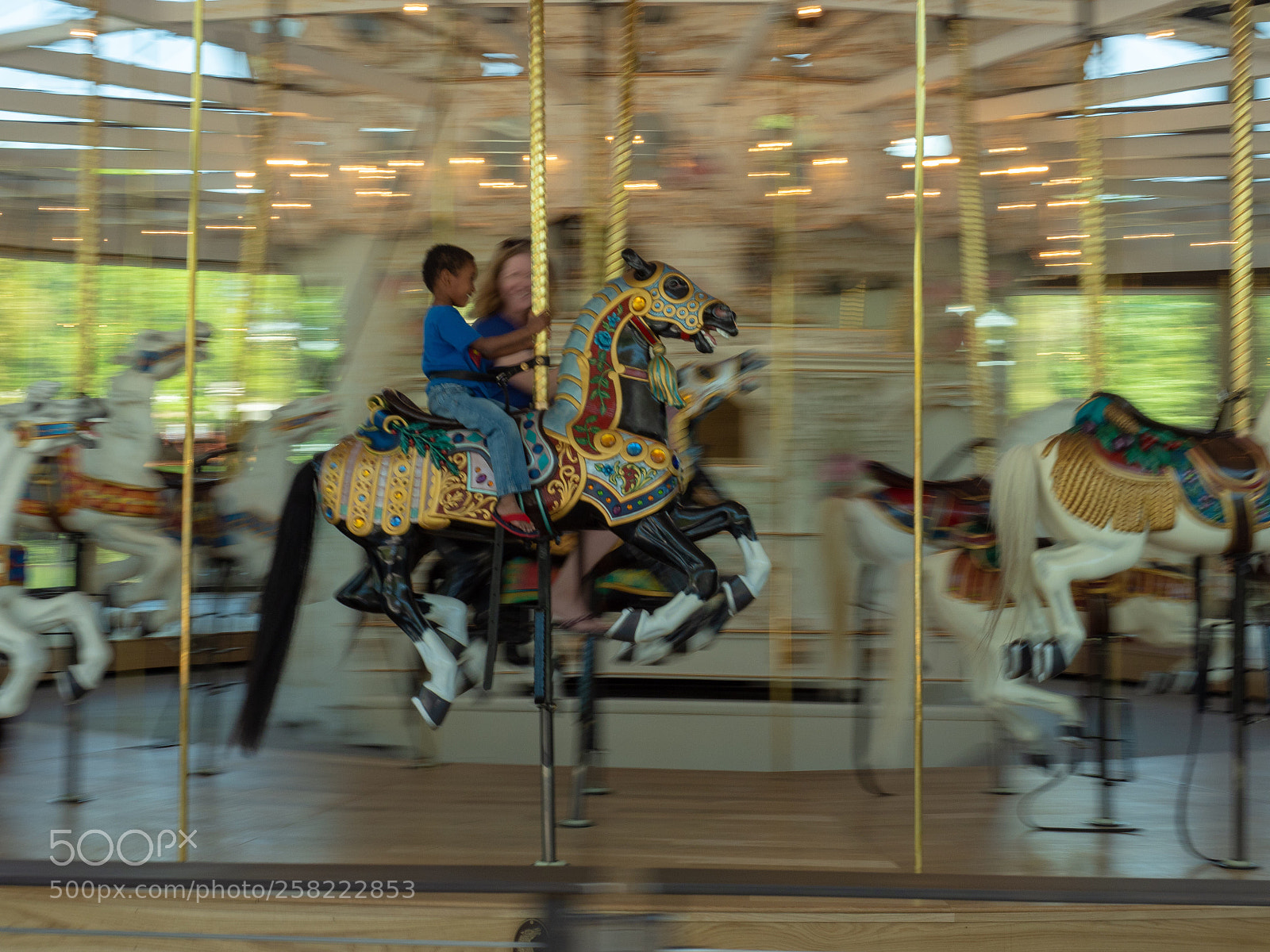 Olympus OM-D E-M1 Mark II sample photo. Carefree joy photography