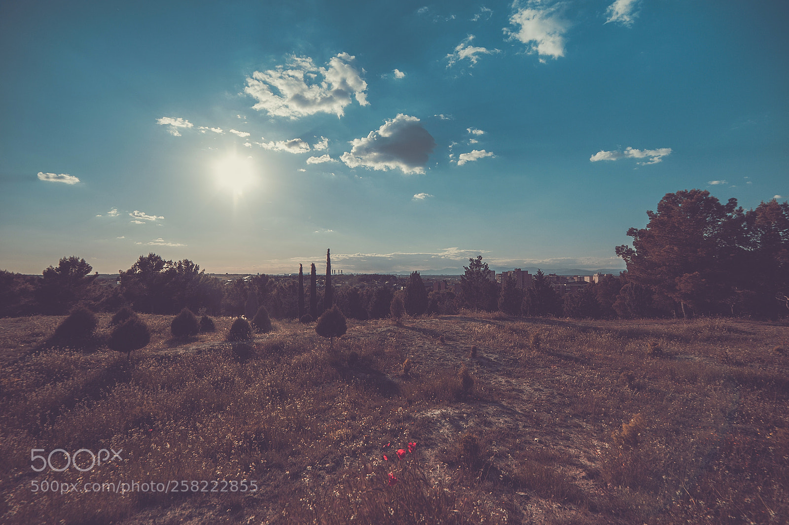 Nikon D700 sample photo. Sunset vintage photography