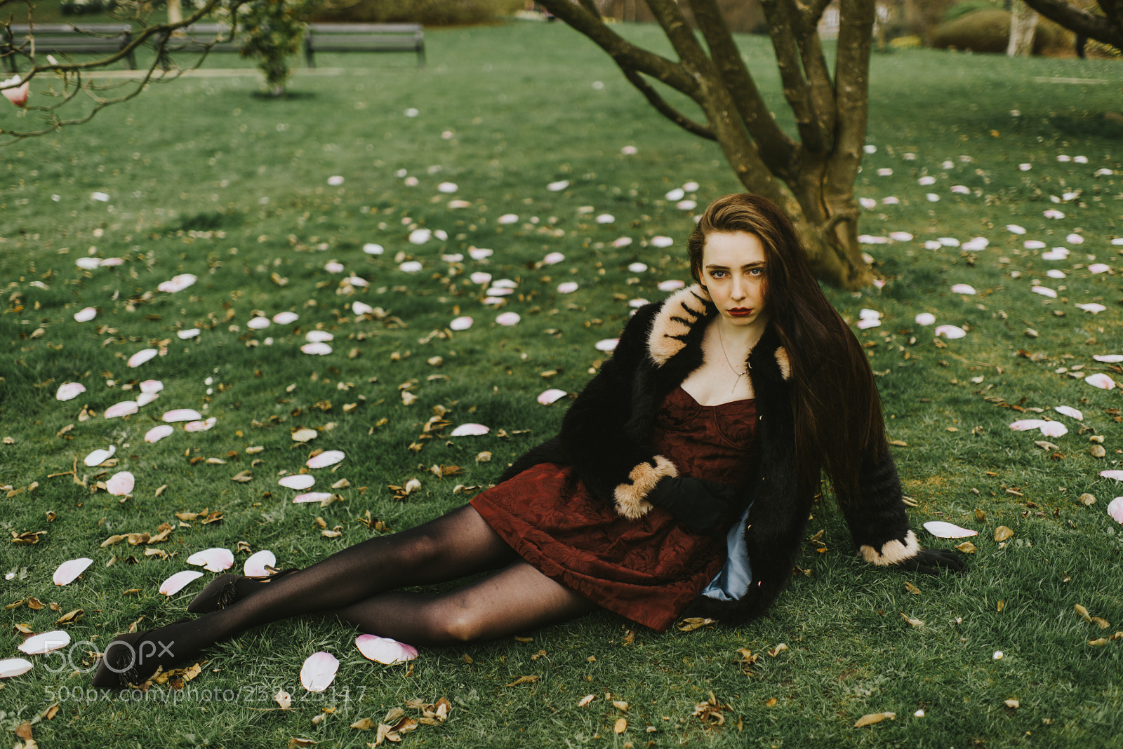 Nikon D810 sample photo. Madeleine  photography