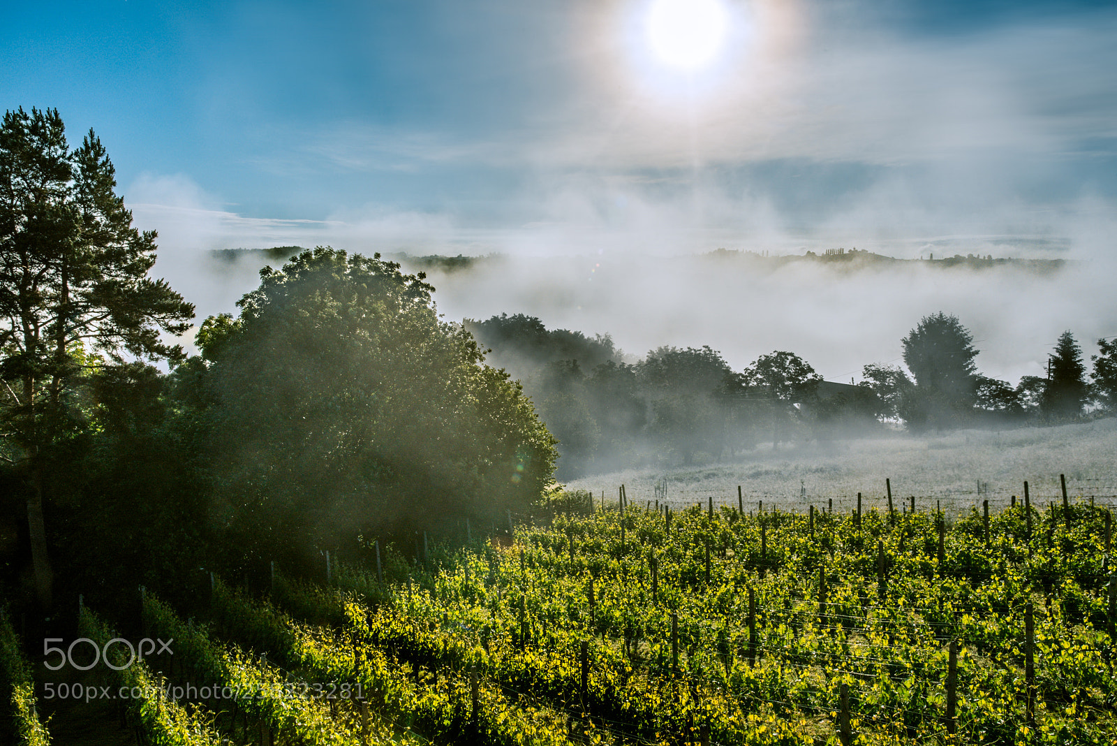 Nikon D750 sample photo. Misty countryside sunrise photography