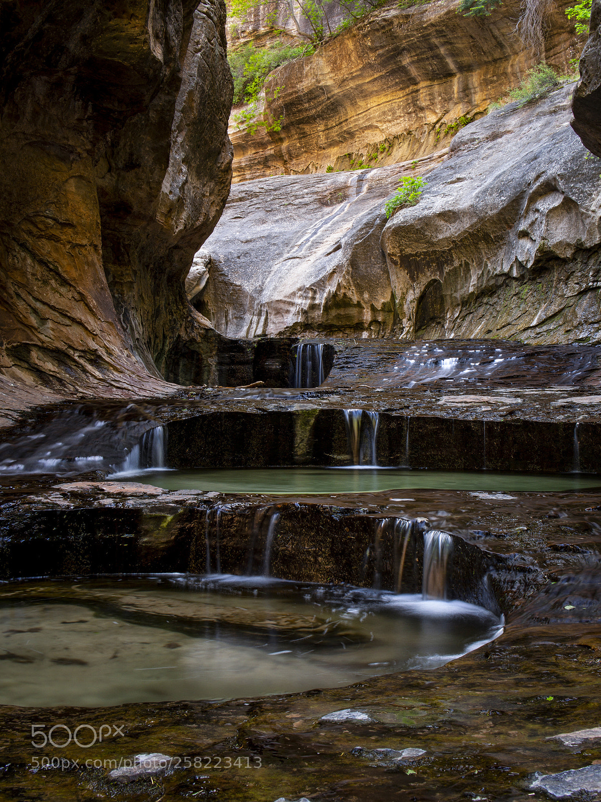 Olympus OM-D E-M5 sample photo. Zion national park, the photography
