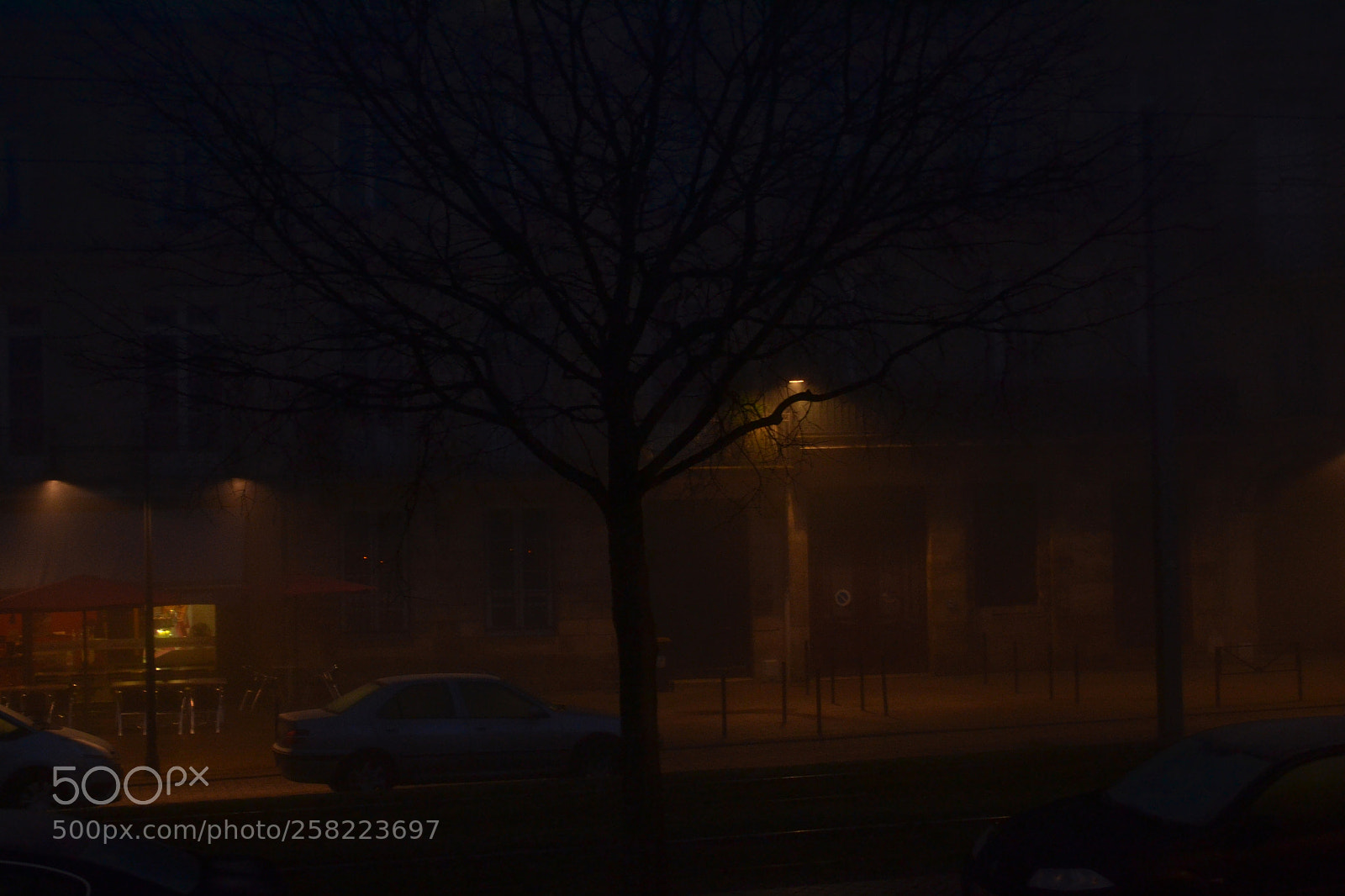 Nikon D3100 sample photo. Burdeos, francia photography