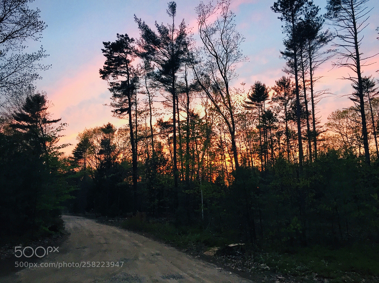 Apple iPhone 6 sample photo. Untitled photography