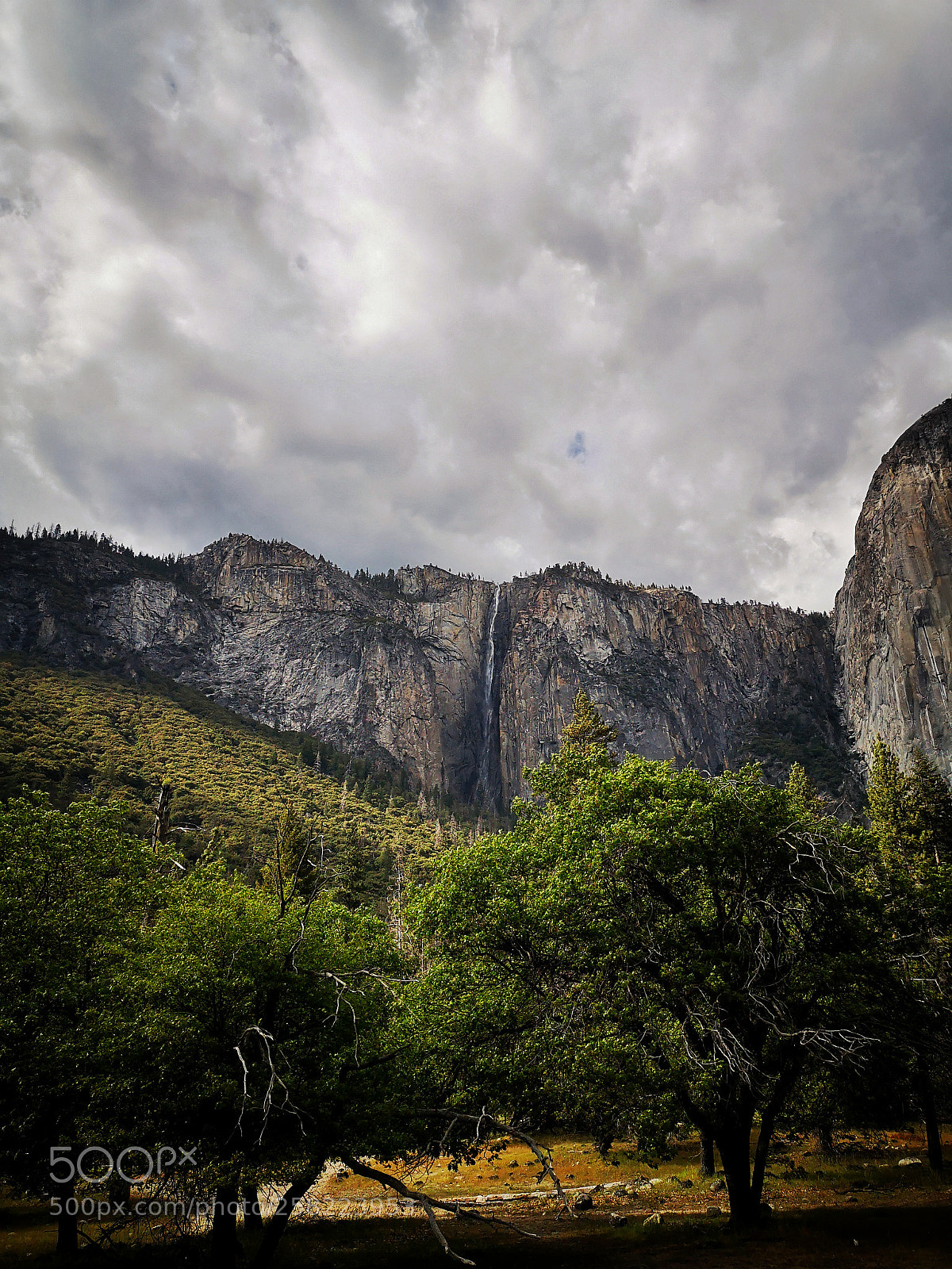 HUAWEI P20 sample photo. Yosemite valley photography
