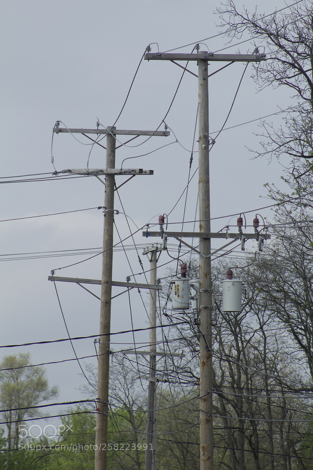 Canon EOS 1200D (EOS Rebel T5 / EOS Kiss X70 / EOS Hi) sample photo. Telephone pole mess. photography