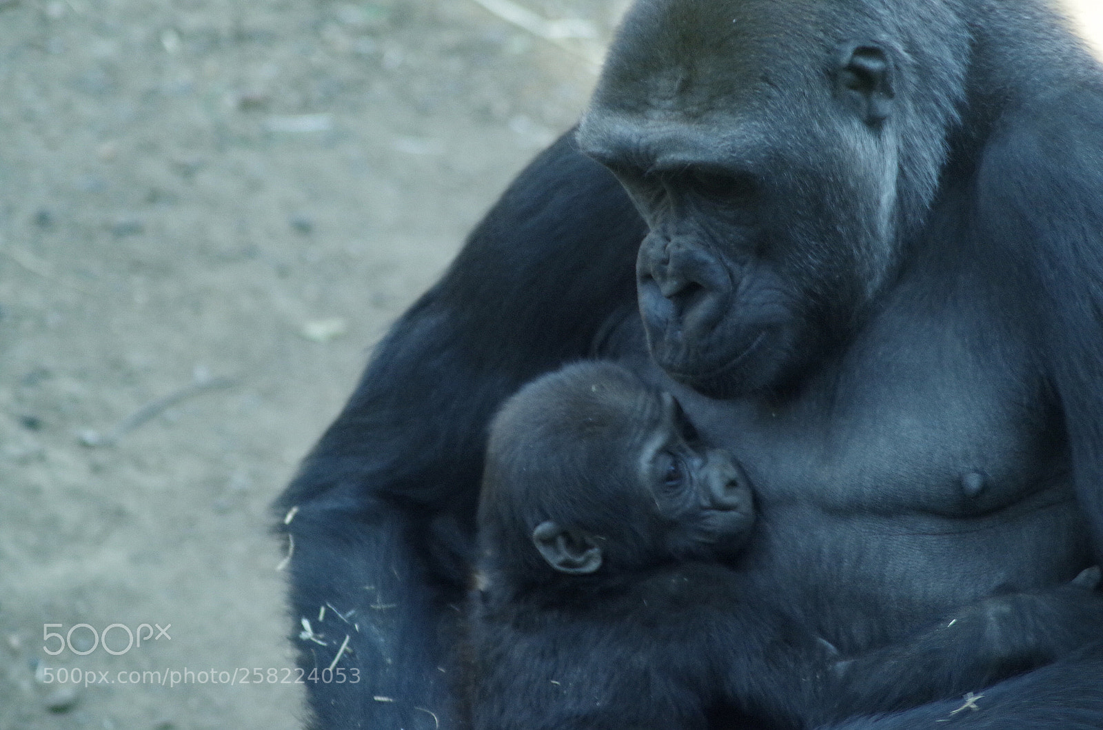 Pentax K-50 sample photo. Baby photography