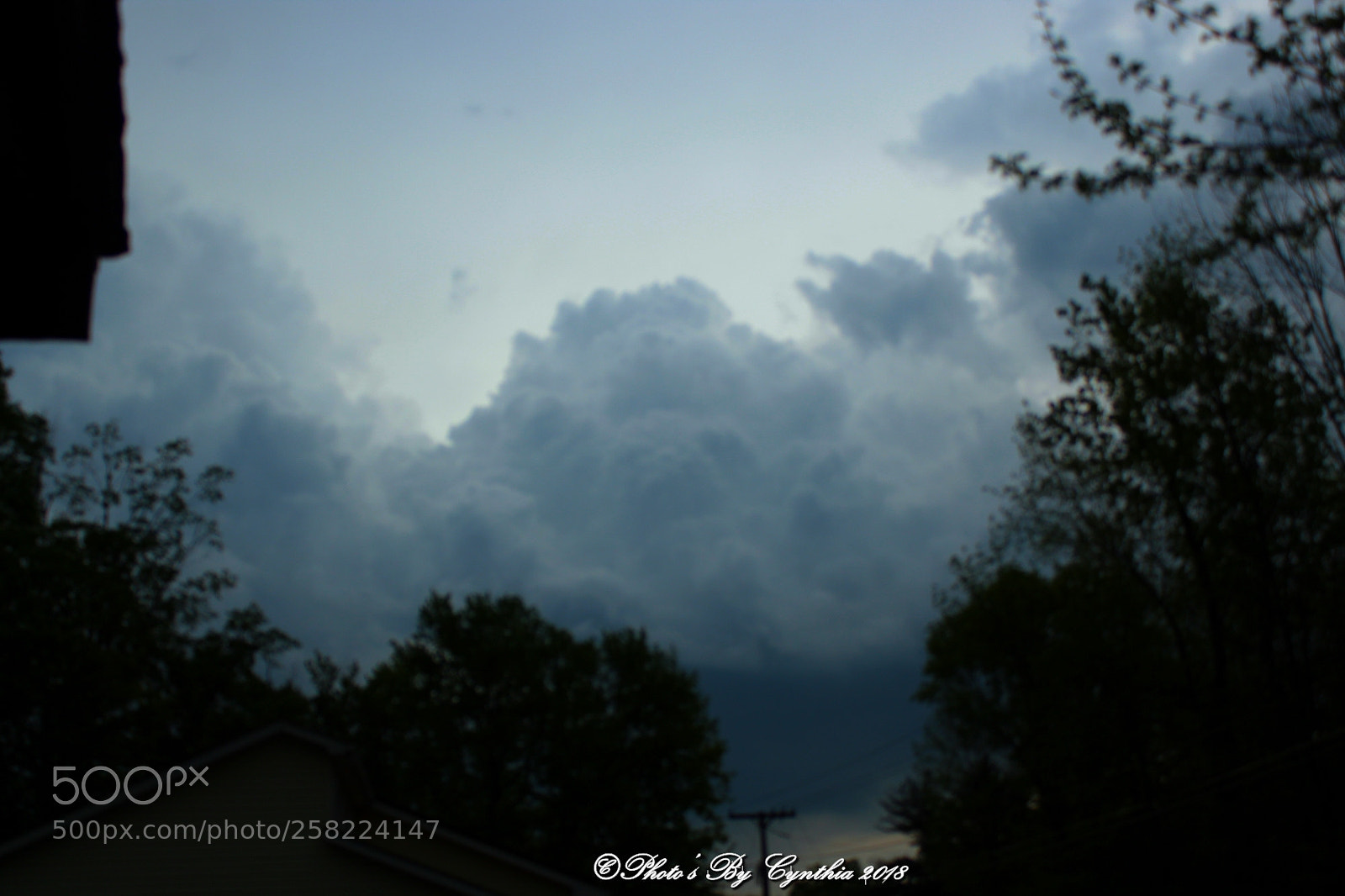 Canon EOS 1300D (EOS Rebel T6 / EOS Kiss X80) sample photo. Mother nature unleashes photography