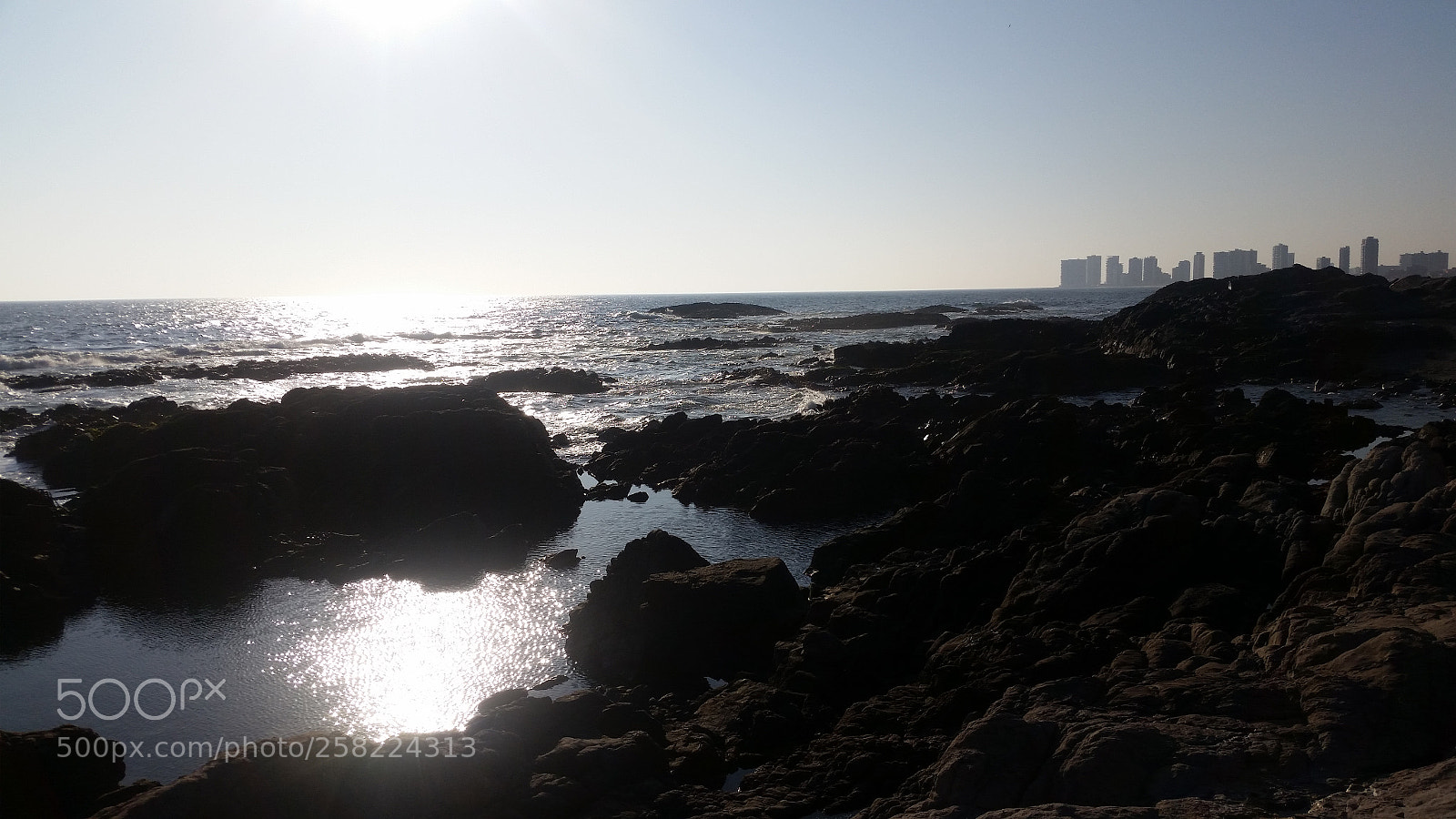 Samsung Galaxy S5 sample photo. Untitled photography