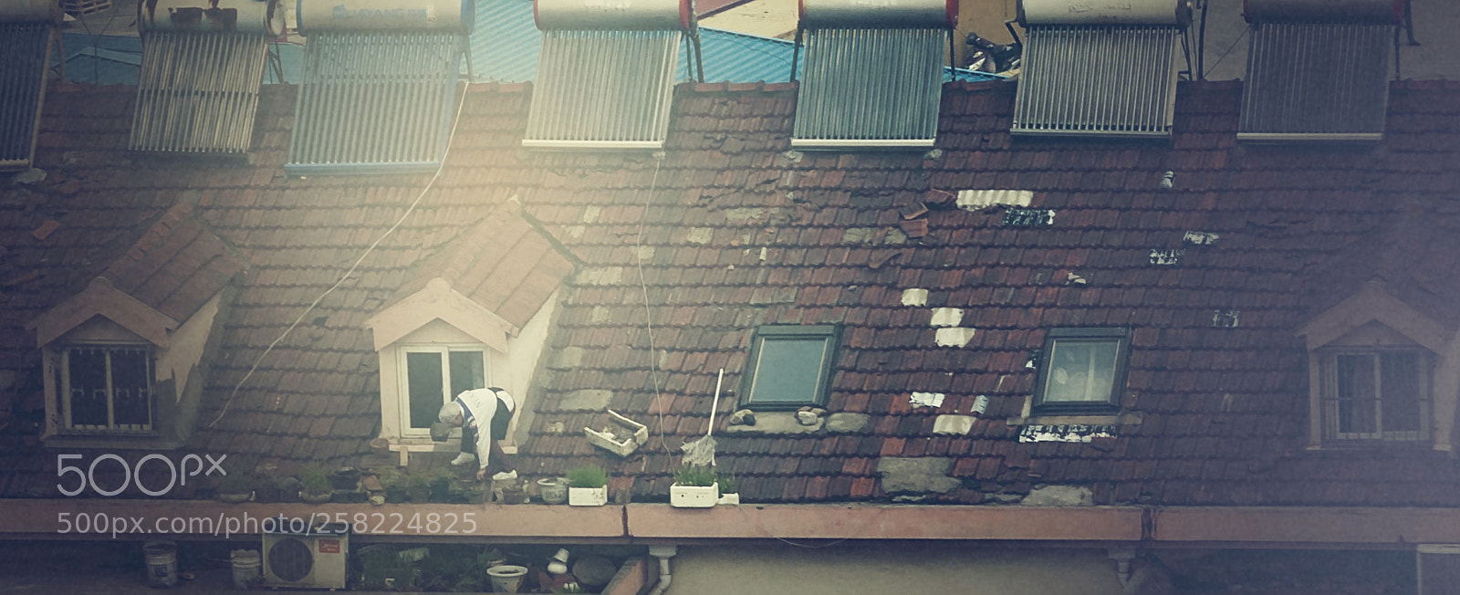 Nikon D90 sample photo. People on the roof photography