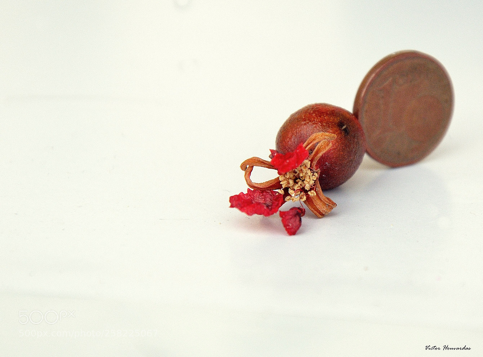 Nikon D7000 sample photo. Miniaturas photography