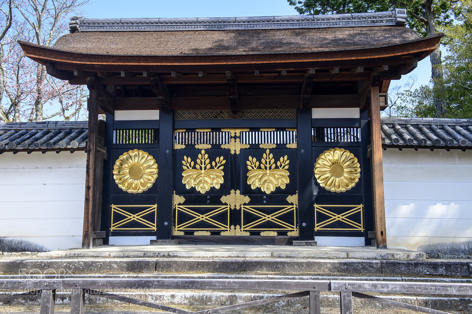 Nikon D850 sample photo. 400 years daigoji temple sakura 醍醐寺唐門 國寶 photography