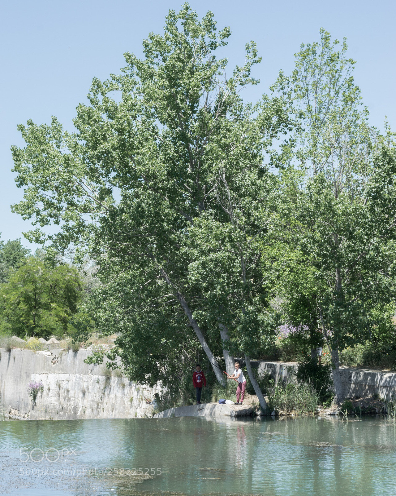 Nikon D5300 sample photo. Fishing day photography