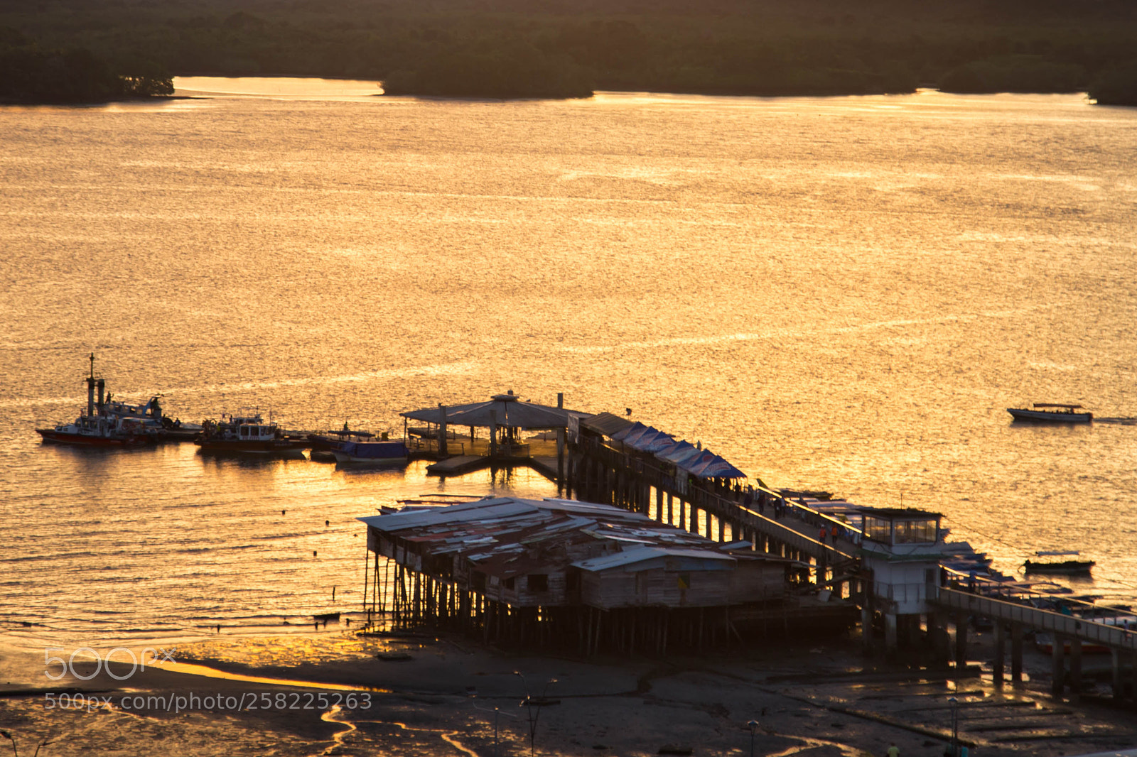 Canon EOS 6D sample photo. Dorado atardecer photography