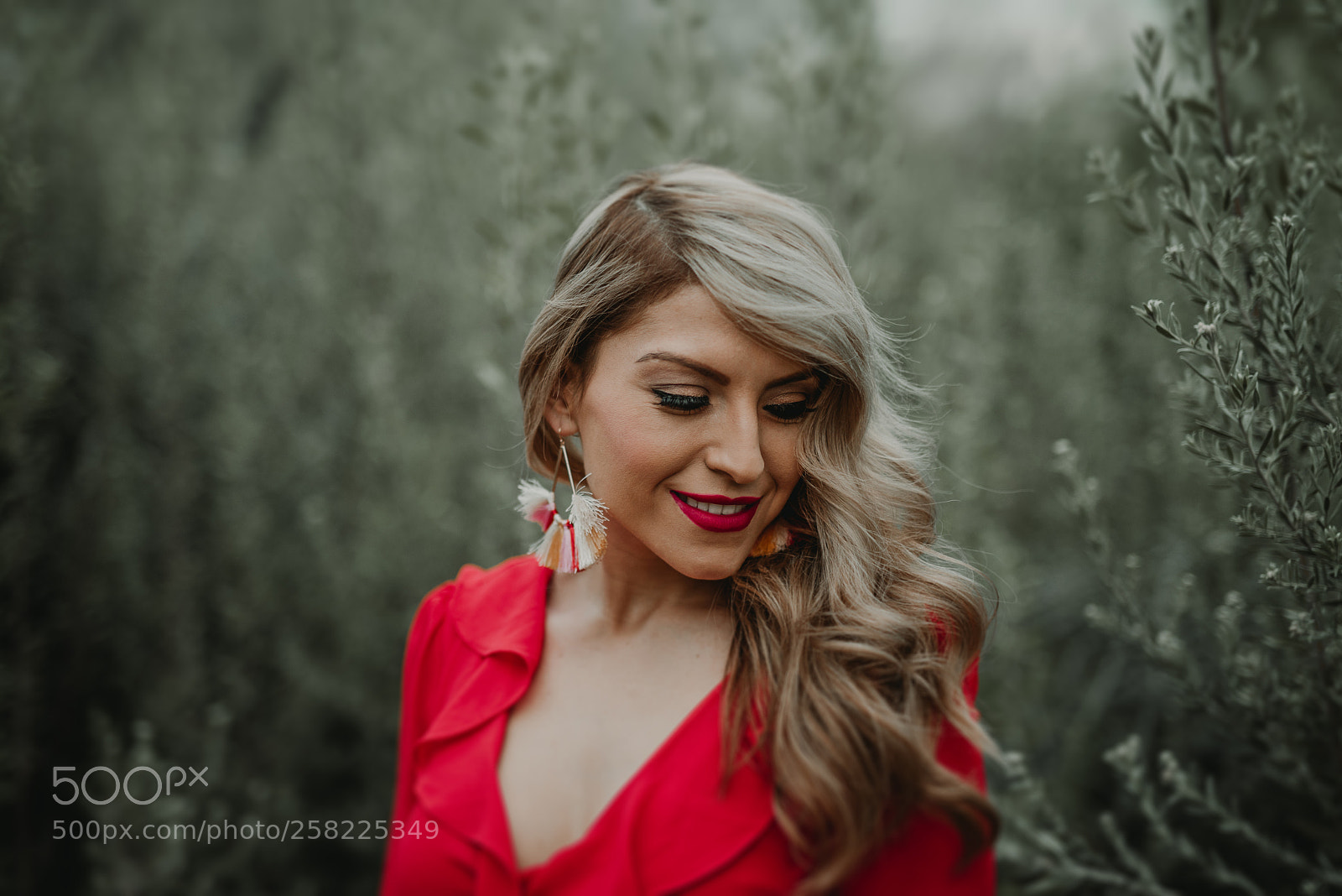Nikon D750 sample photo. Rojo photography