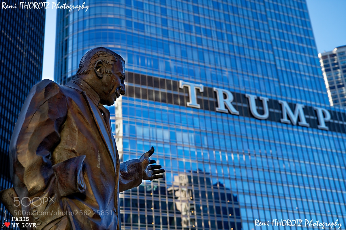 Nikon D850 sample photo. Hey listen mister president !! photography