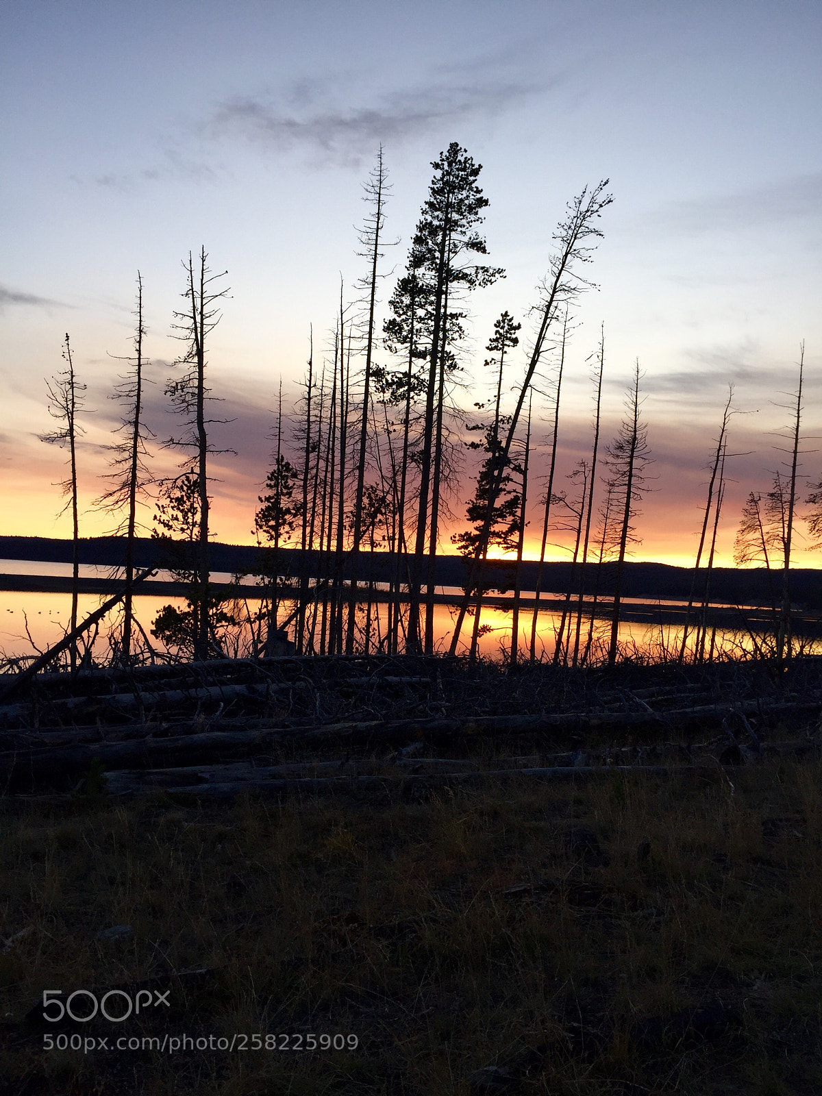 Apple iPhone 6 sample photo. Yellowstone sunset  photography
