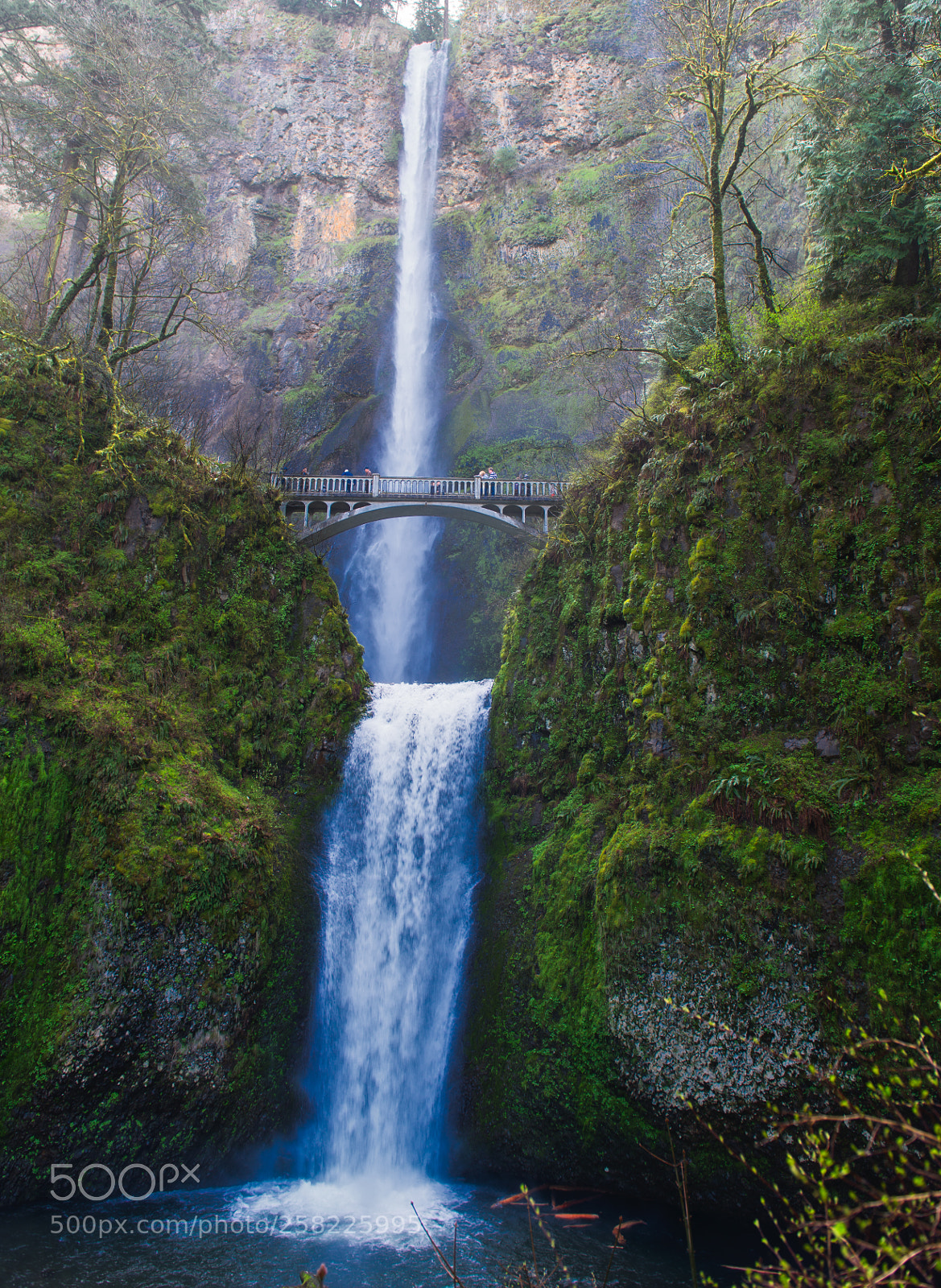 Nikon D800 sample photo. Multnomah falls photography