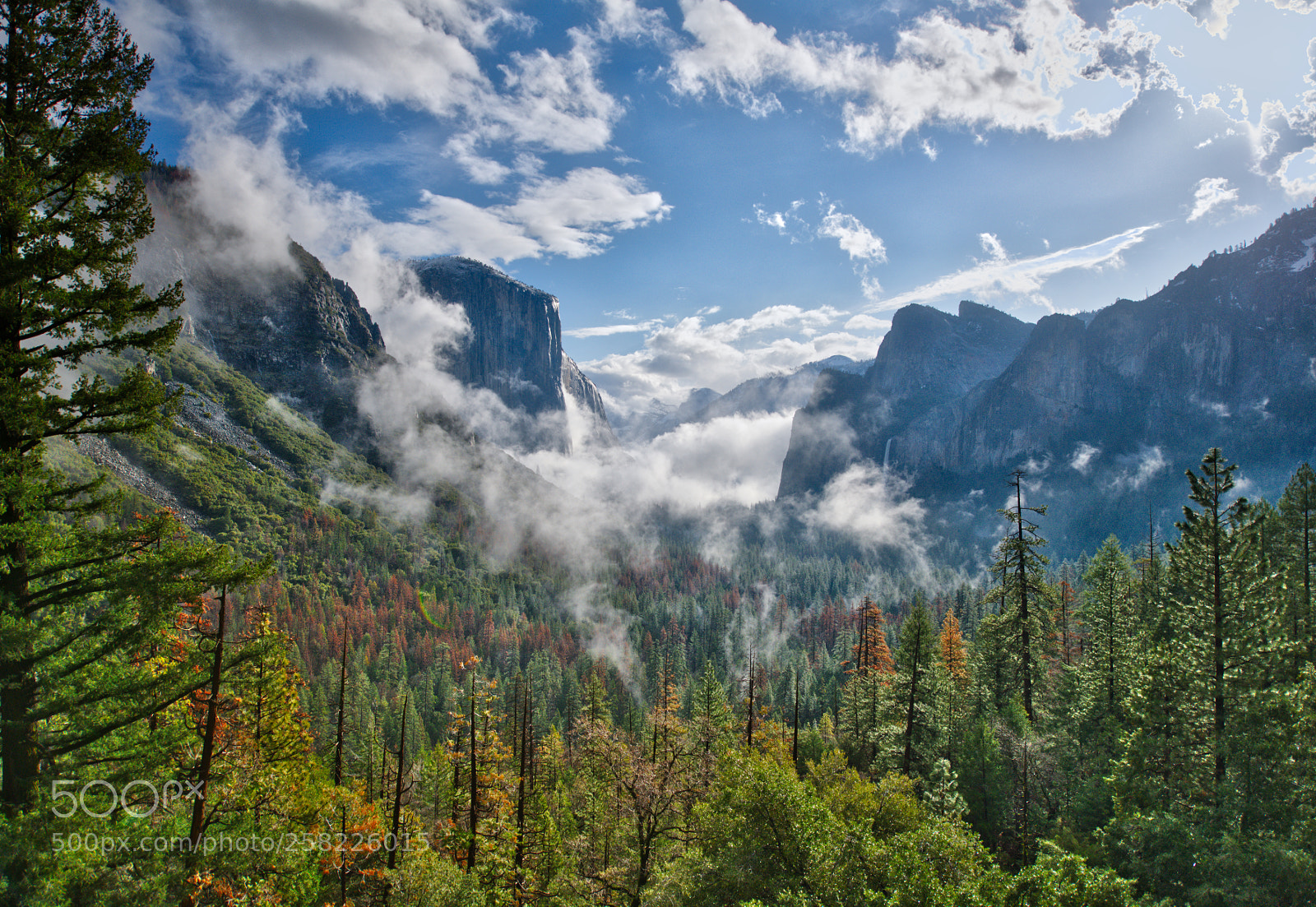 Nikon D800 sample photo. Yosemitevalleyfog photography