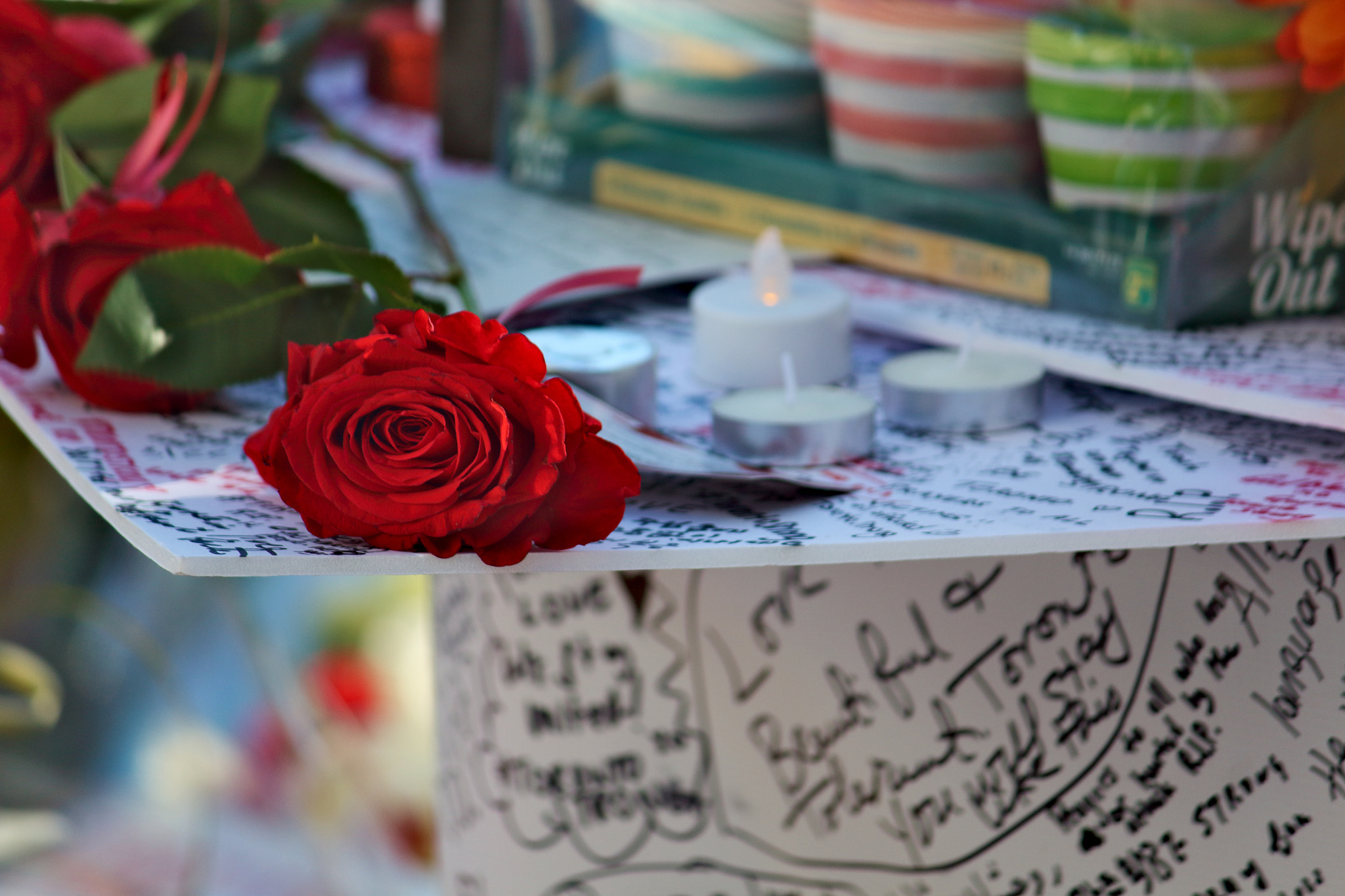 Canon EOS 1200D (EOS Rebel T5 / EOS Kiss X70 / EOS Hi) sample photo. Rose laid photography