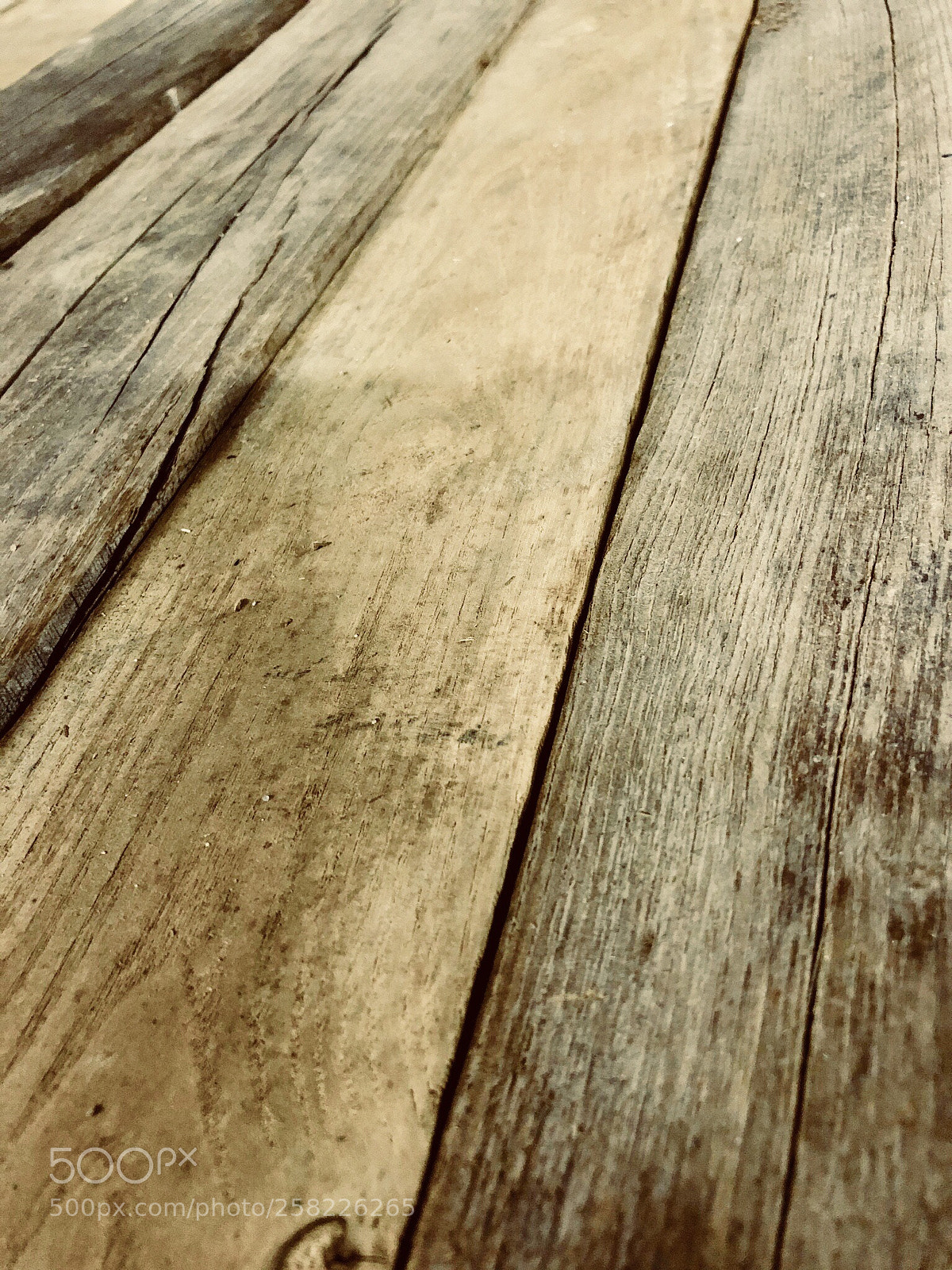 Apple iPhone X sample photo. Untitled photography