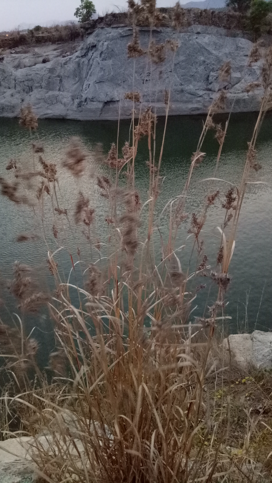OPPO A1601 sample photo