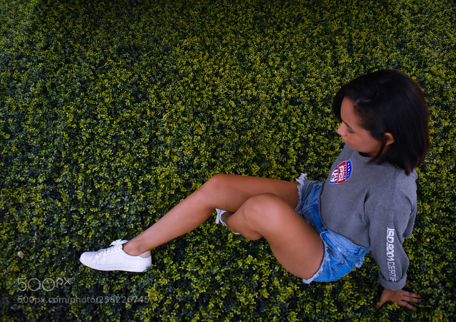 Nikon D3400 sample photo. Untitled photography