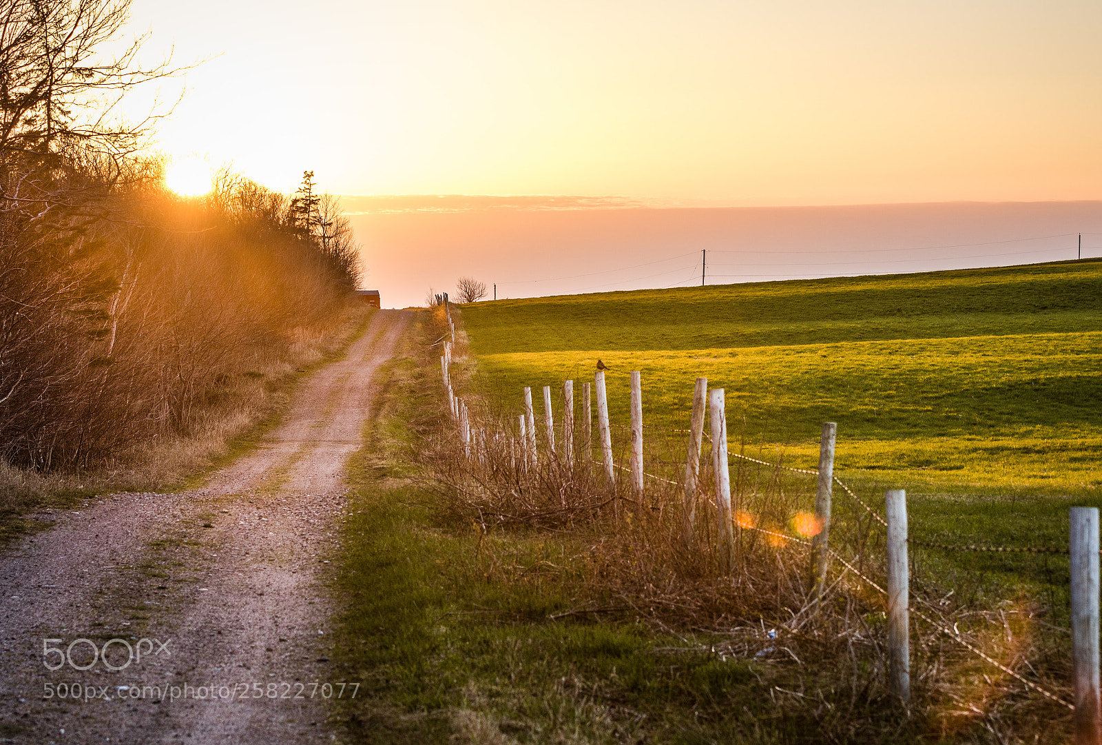 Canon EOS 7D Mark II sample photo. Ridge sunset photography