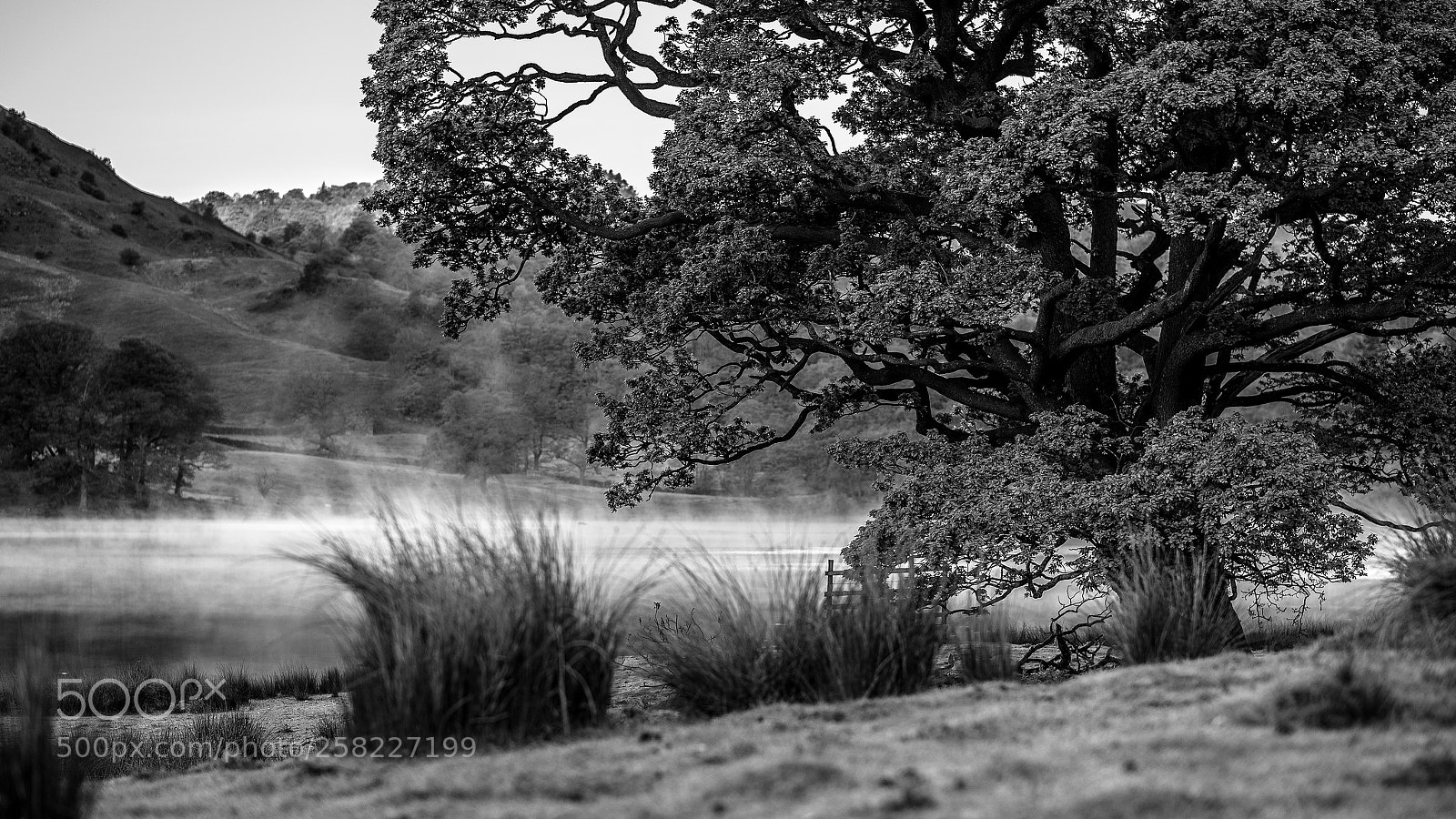 Nikon D750 sample photo. Morning mist on lake photography