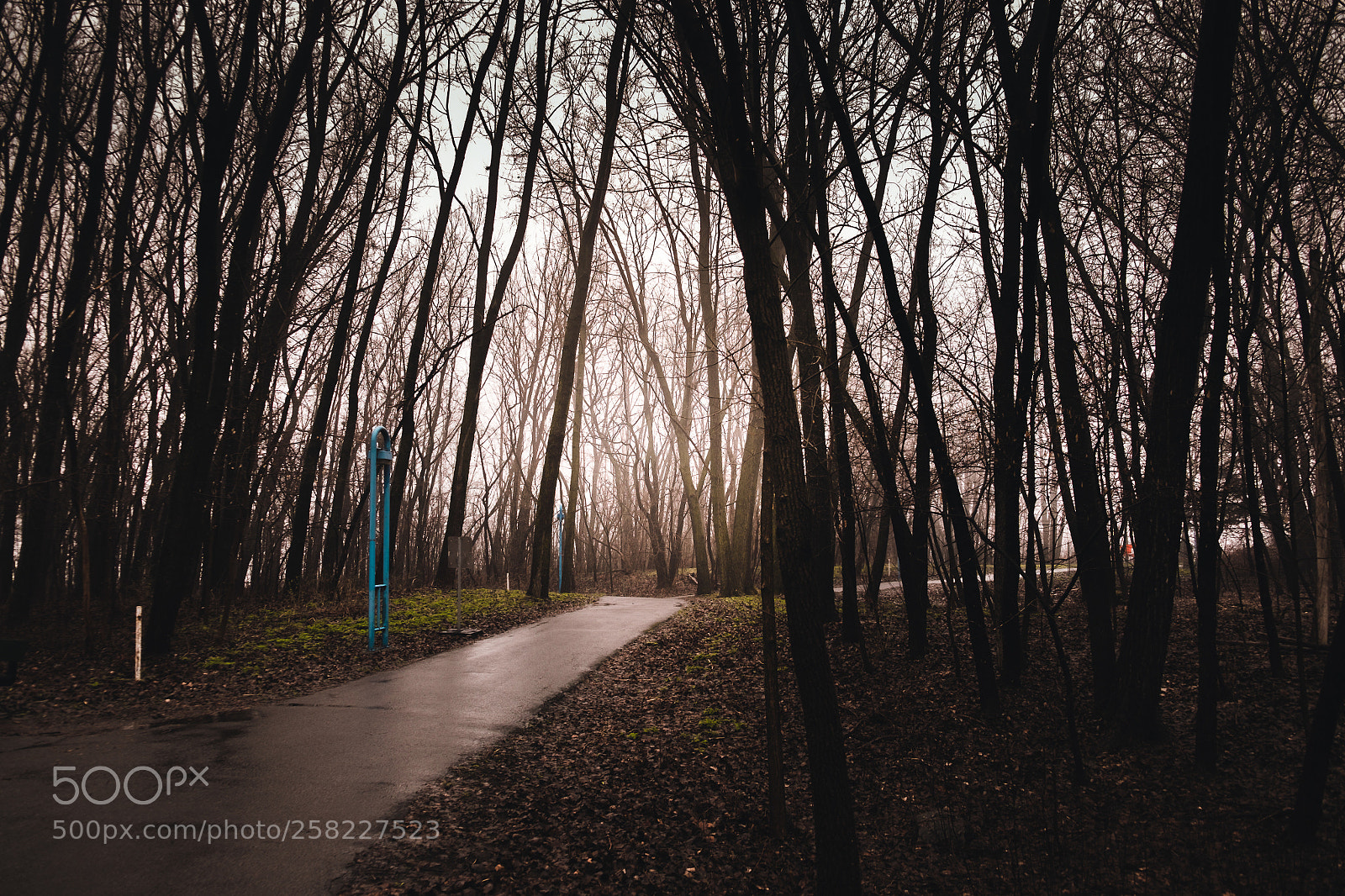 Fujifilm X-T10 sample photo. Piste cyclable photography