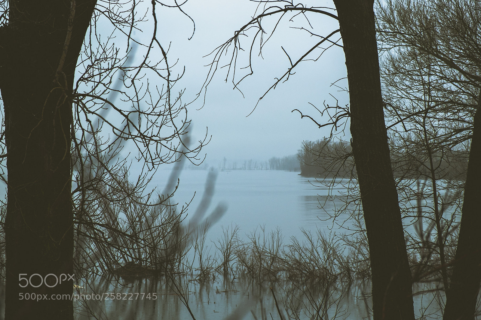 Fujifilm X-T10 sample photo. St laurent. photography