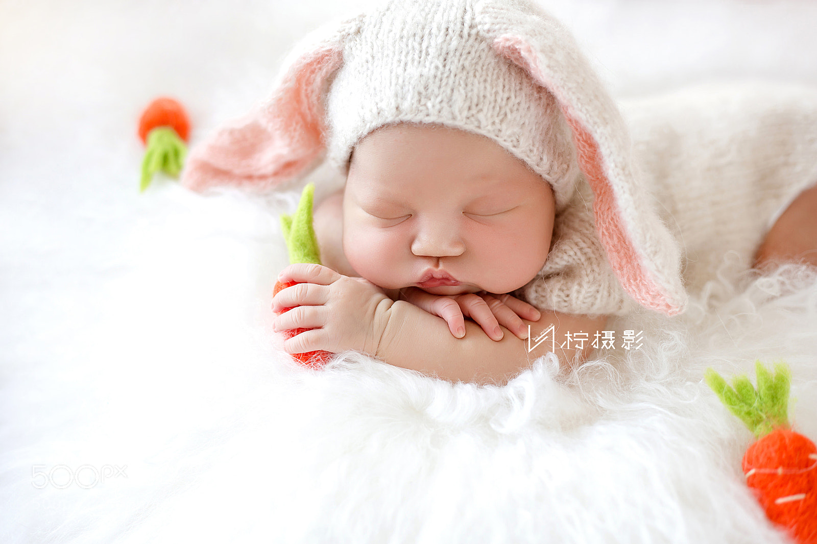 Canon EOS 6D sample photo. Untitled photography