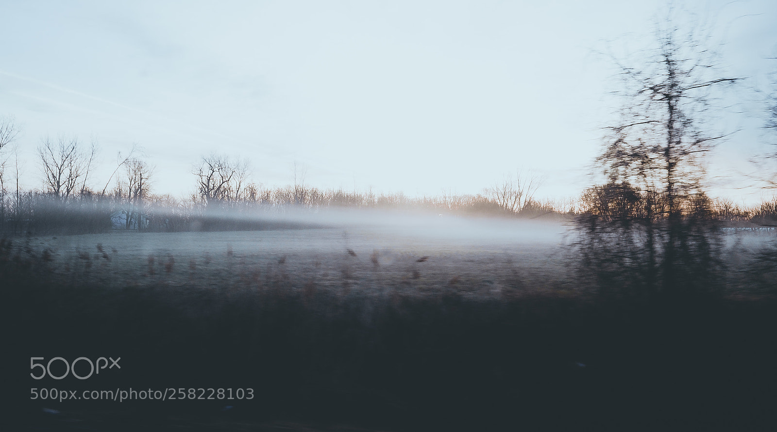 Fujifilm X-T10 sample photo. Fog photography