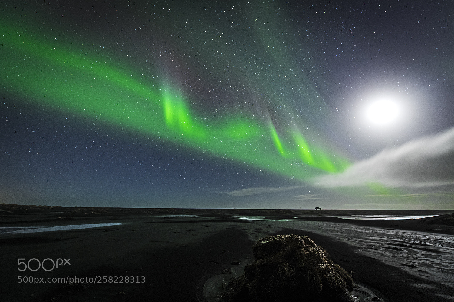 Nikon D850 sample photo. Moon and aurora dancing photography