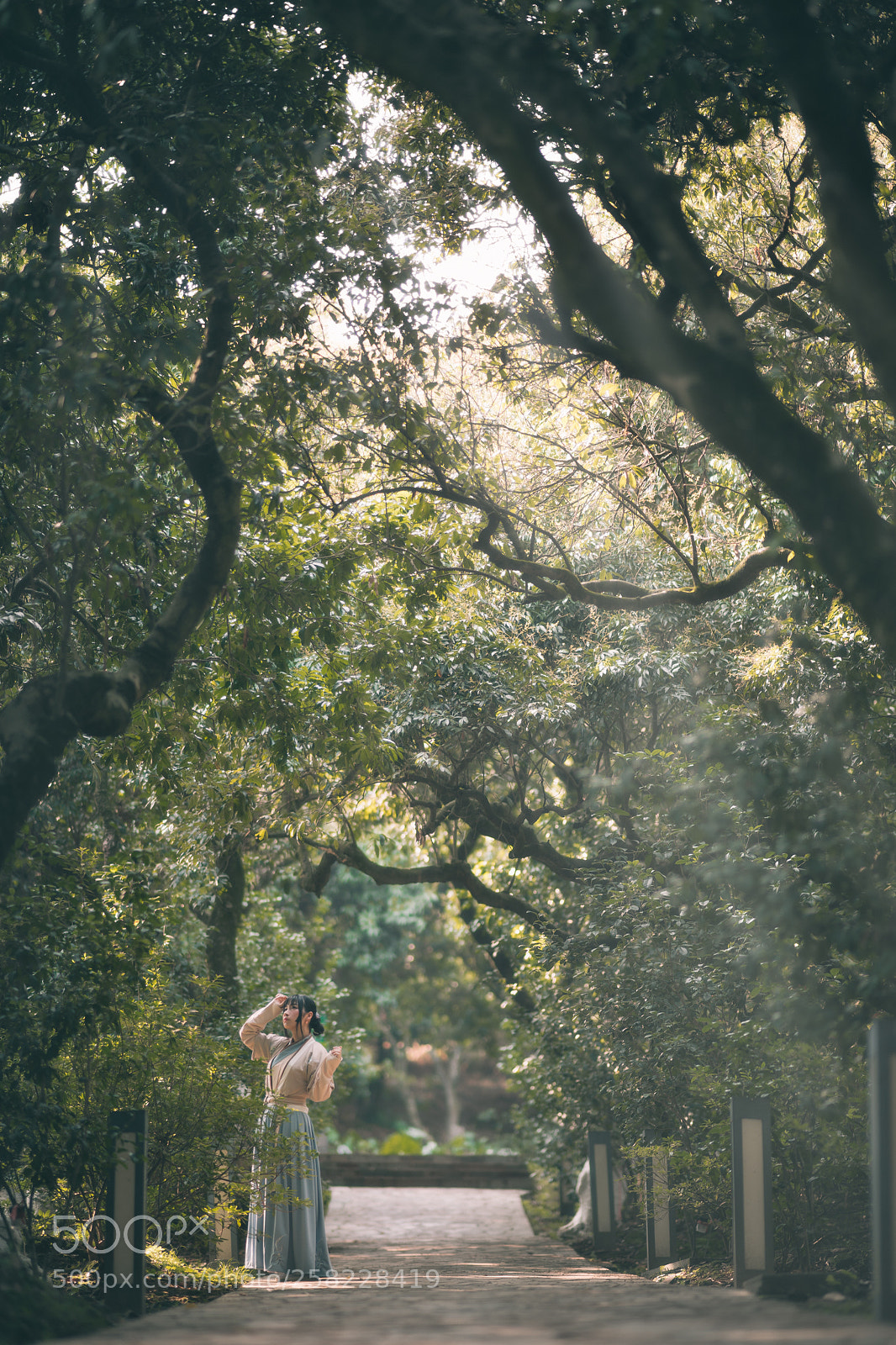 Sony a7 II sample photo. Hanfu photography