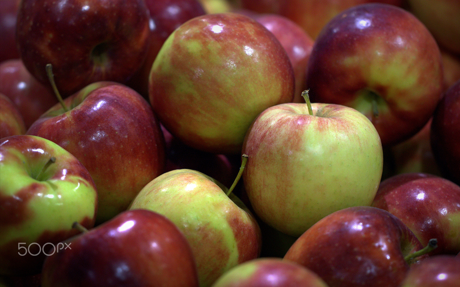 Canon EF 100mm F2.8L Macro IS USM sample photo. New apple texture photography